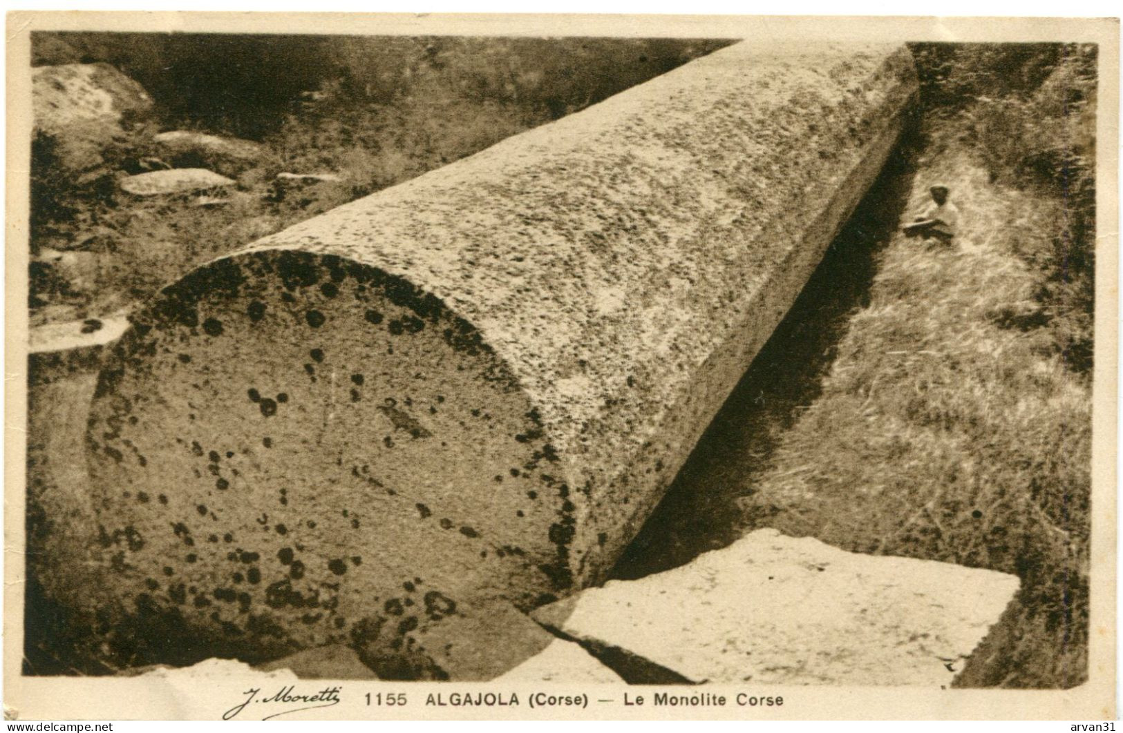 ALGAJOLA (HAUTE CORSE) - LE MONOLITE CORSE - CLICHE TRES RARE De L' EDITEUR MORETTI  - - Bomen