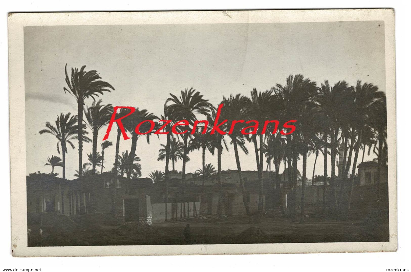 Carte Photo Gizeh Village Vallee Du Nil Cairo Real Photo +/- 1918 Agypten Egitto Egypt CPA Carte Postale Old Postcard - Sfinge