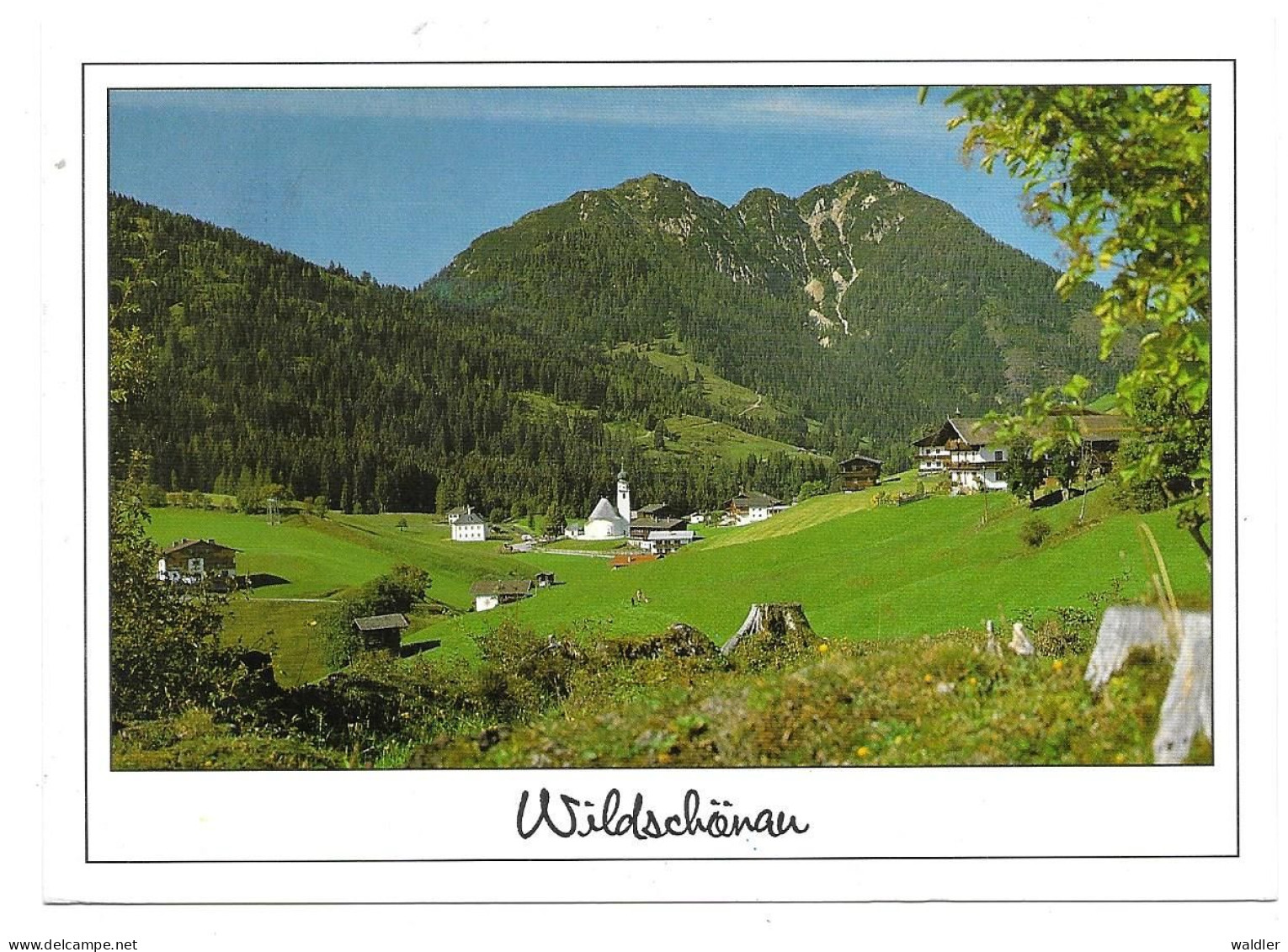 6311  THIERBACH  1145m  -  WILDSCHÖNAU - Wildschönau