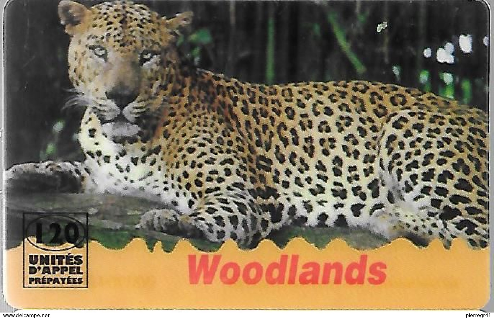 CARTE-PREPAYEE-120U-WOODLANDS-LEOPARD-31/01/1998-Plastic Epais Glacé-Gratté-TBE - Dschungel