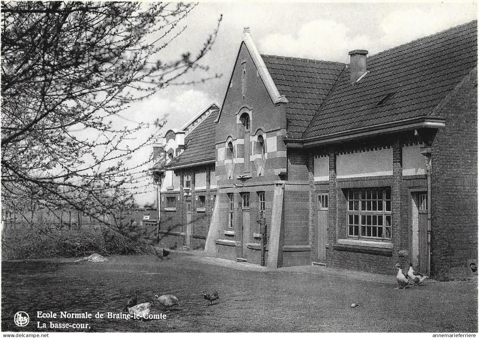 Ecole Normale De  Braine-le-Comte La Basse-cour - Braine-le-Comte