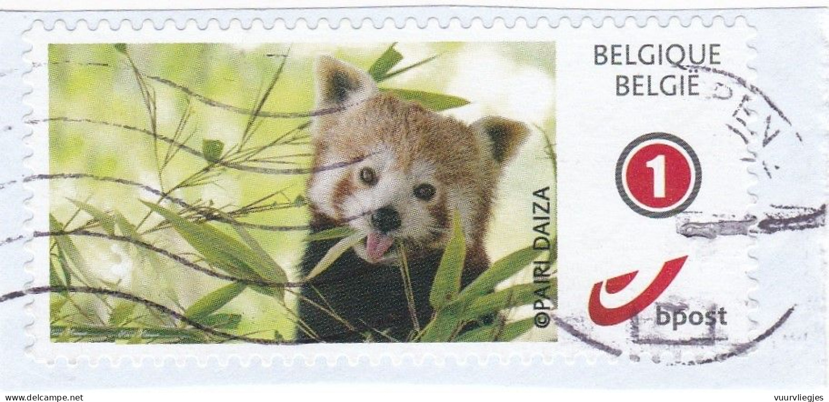 Pairi Daiza - Rode Panda - Gebraucht