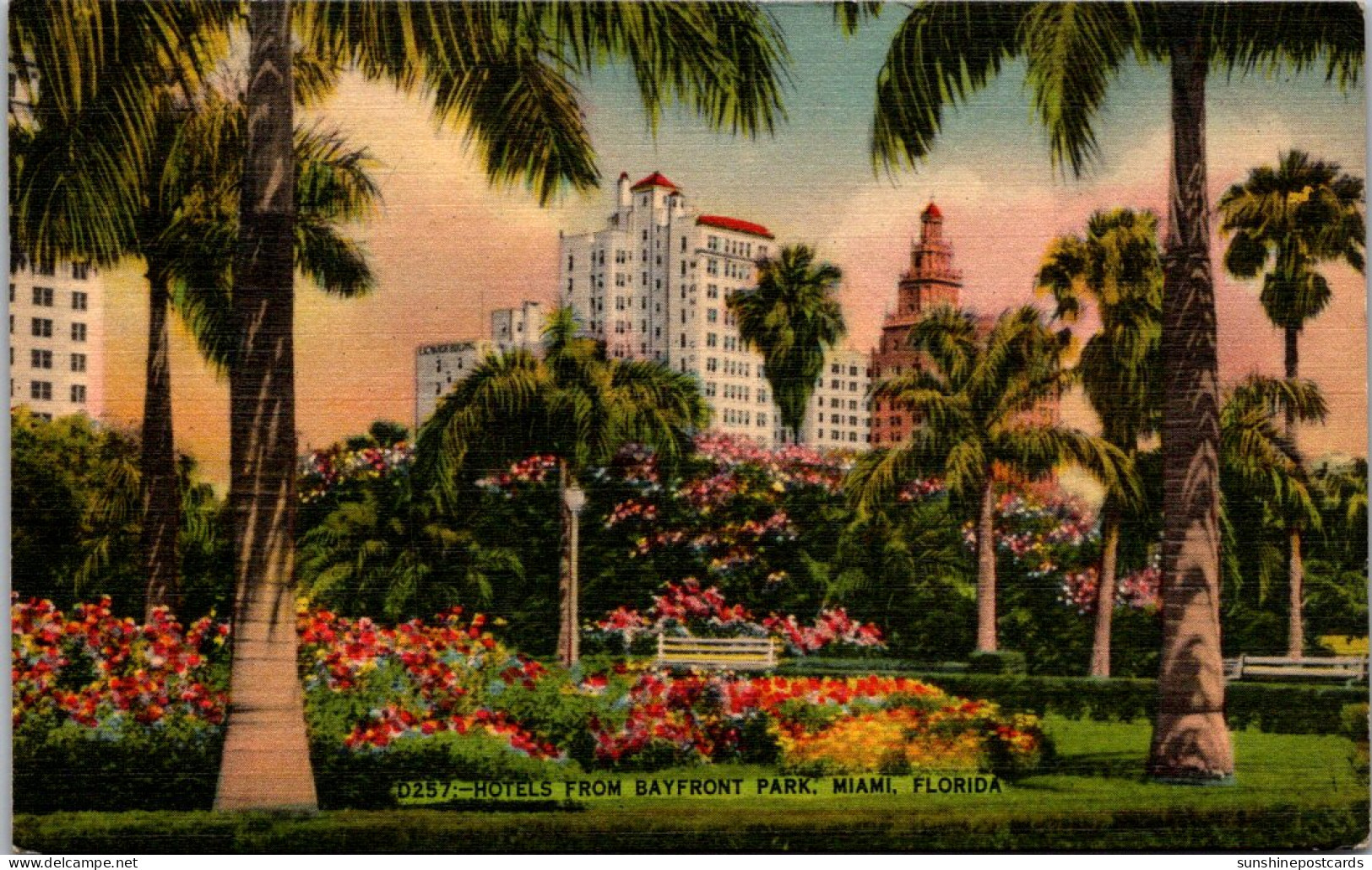 Florida Miami Hotels From Bayfront Park 1945 - Miami