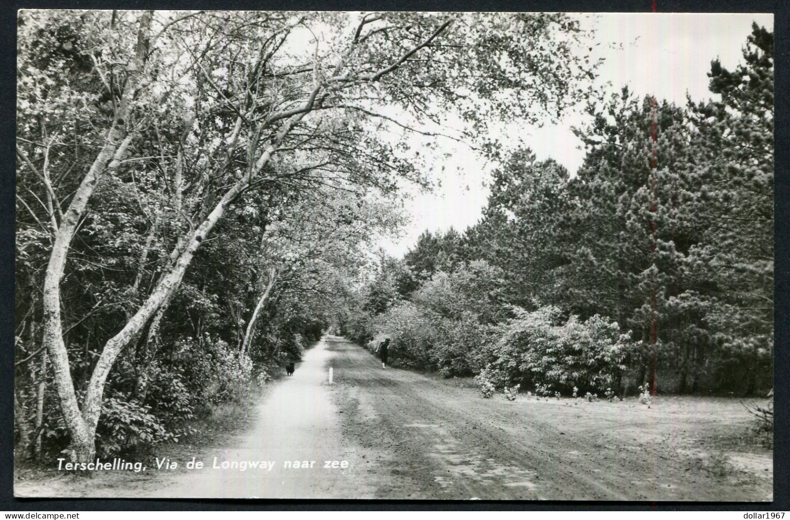 Terschelling , Via De Longway Naar Zee  - Used  22-6-1959  .- 2 Scans For Originalscan !! - Terschelling