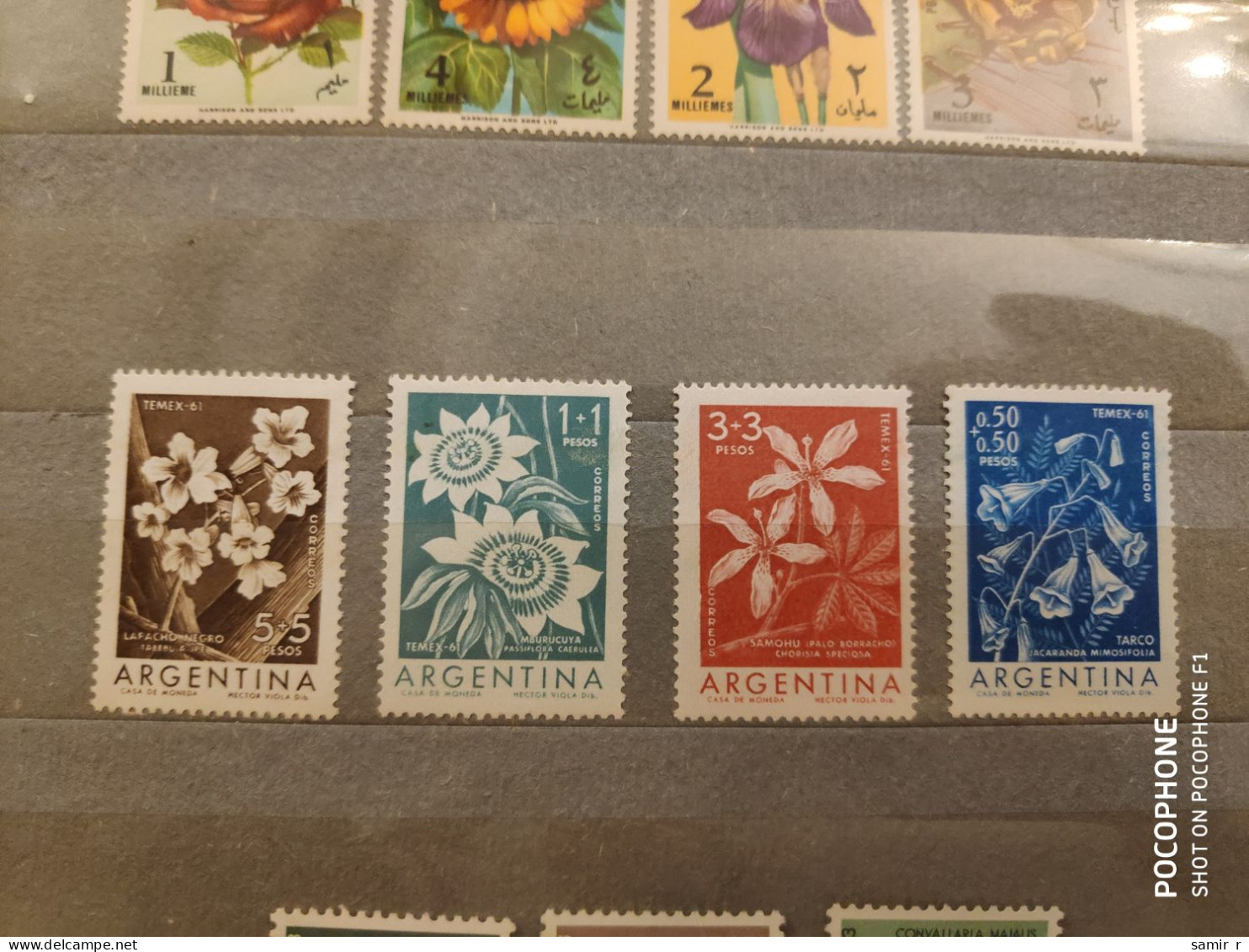 1961 Argentina Flowers (F23) - Nuevos