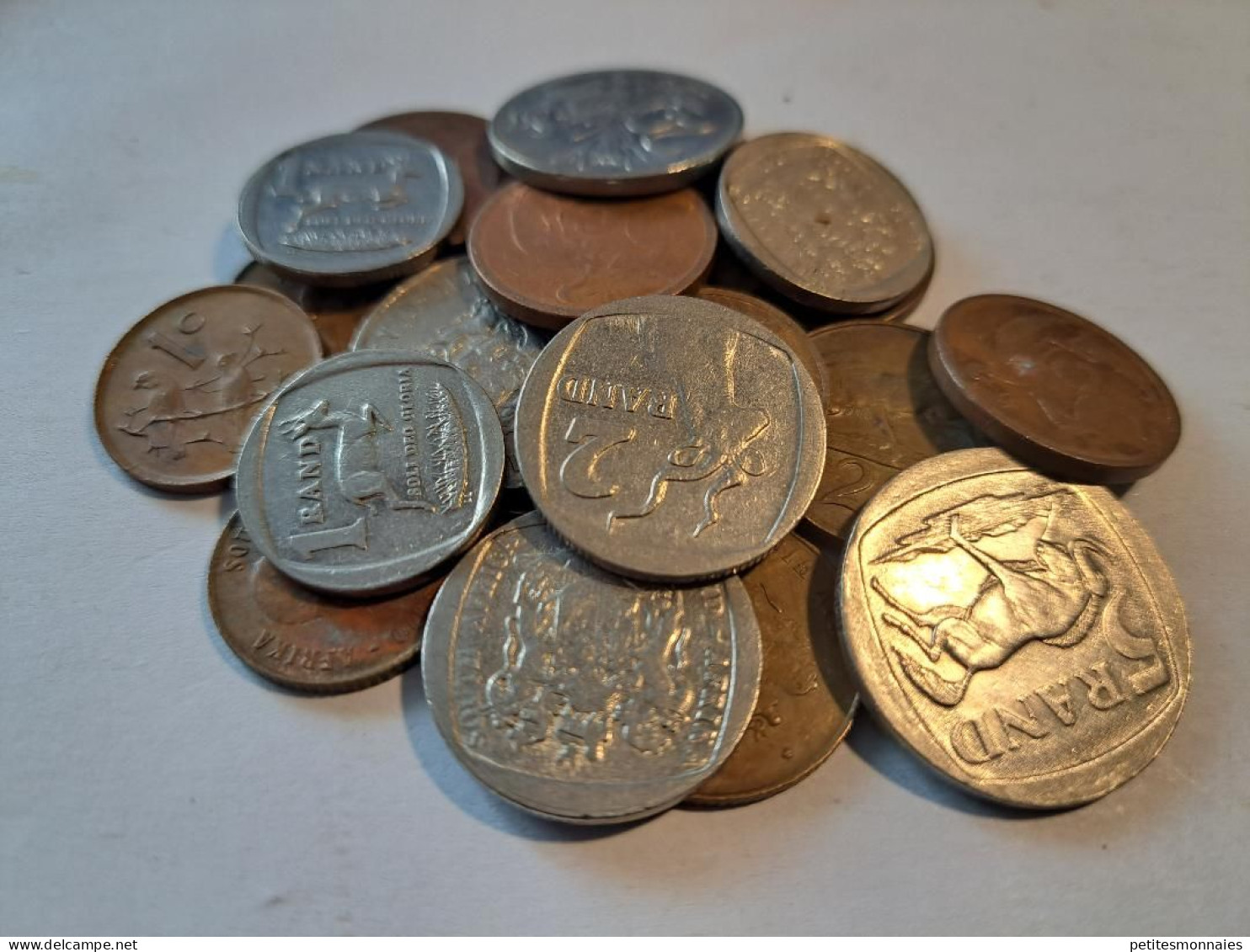 AFRIQUE DU SUD    Lot De 18 Monnaies ( 428 ) - Vrac - Monnaies