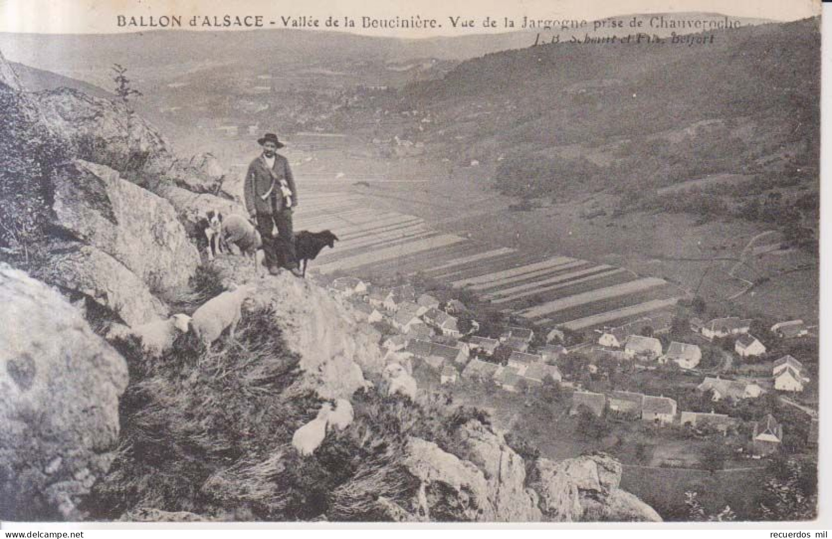 Vallee De La Beuciniere Vue De La Jargogne Berger Avec Ses Moutons   1914 - Belfort – Siège De Belfort