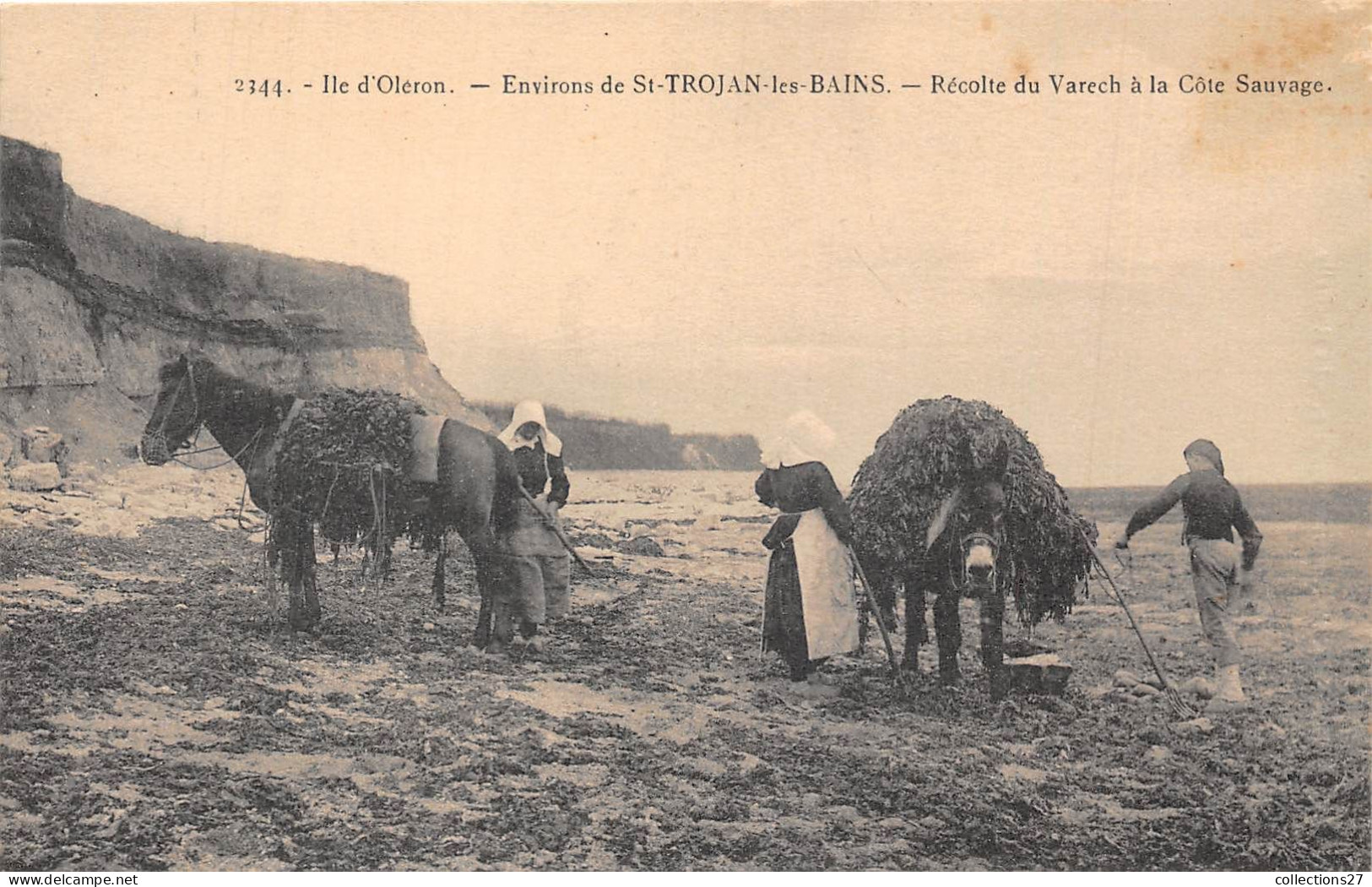 17-ILE D'OLERON- ENVIRONS DE ST-TROJAN-LES-BAINS- RECOLTE DU VARECH A LA CÔTE SAUVAGE - Ile D'Oléron