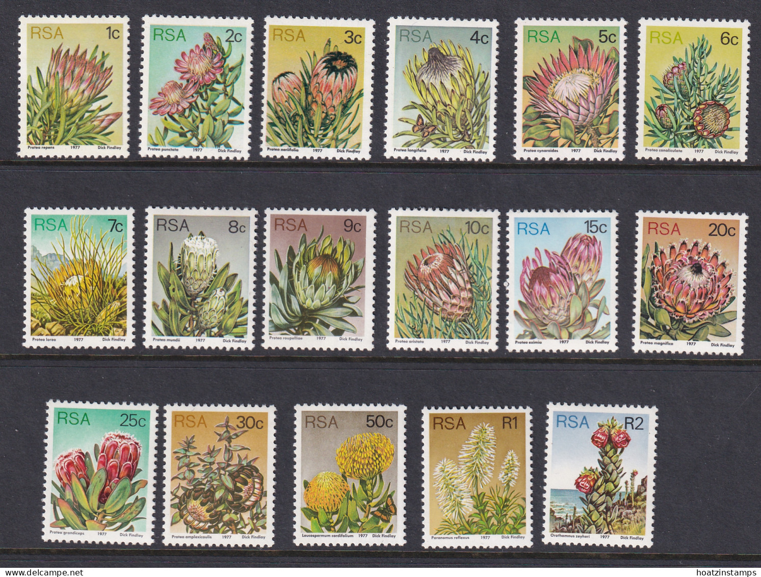 South Africa: 1977/82   Succulents Set   SG414-430     MNH - Unused Stamps
