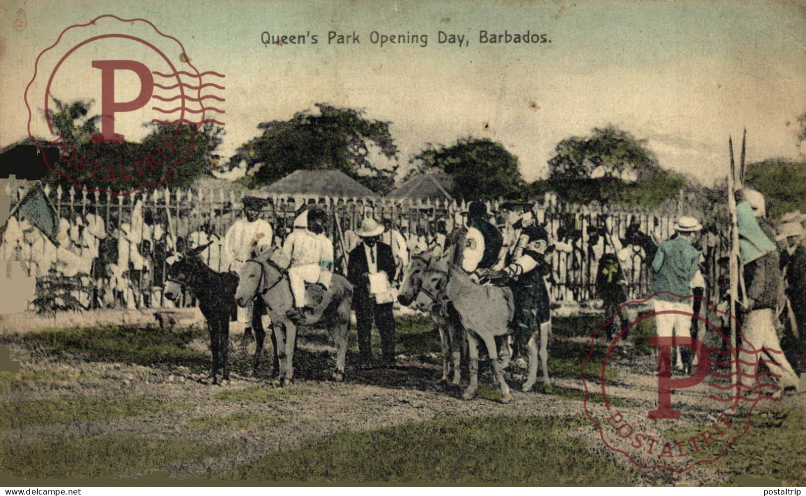 BARBADOS QUEEN'S PARK OPENING DAY - Barbades