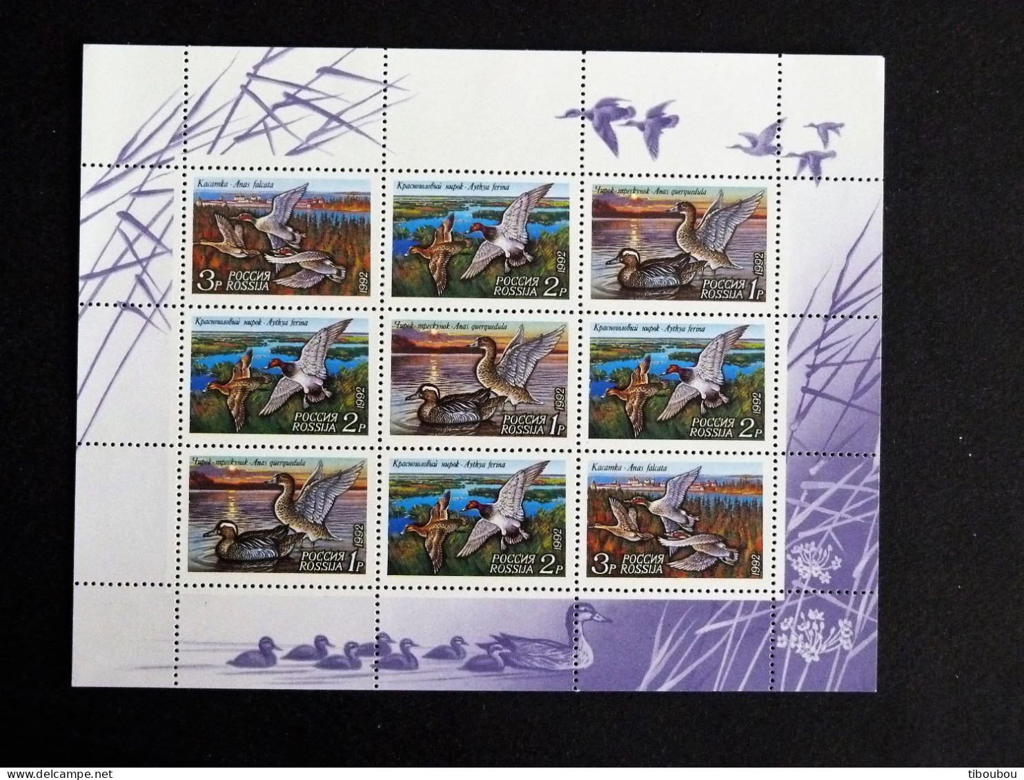 RUSSIE RUSSIA ROSSIJA URSS CCCP YT 5958 à 5960 ** MNH PETITE FEUILLE ENTIERE - CANARD DUCK - Feuilles Complètes