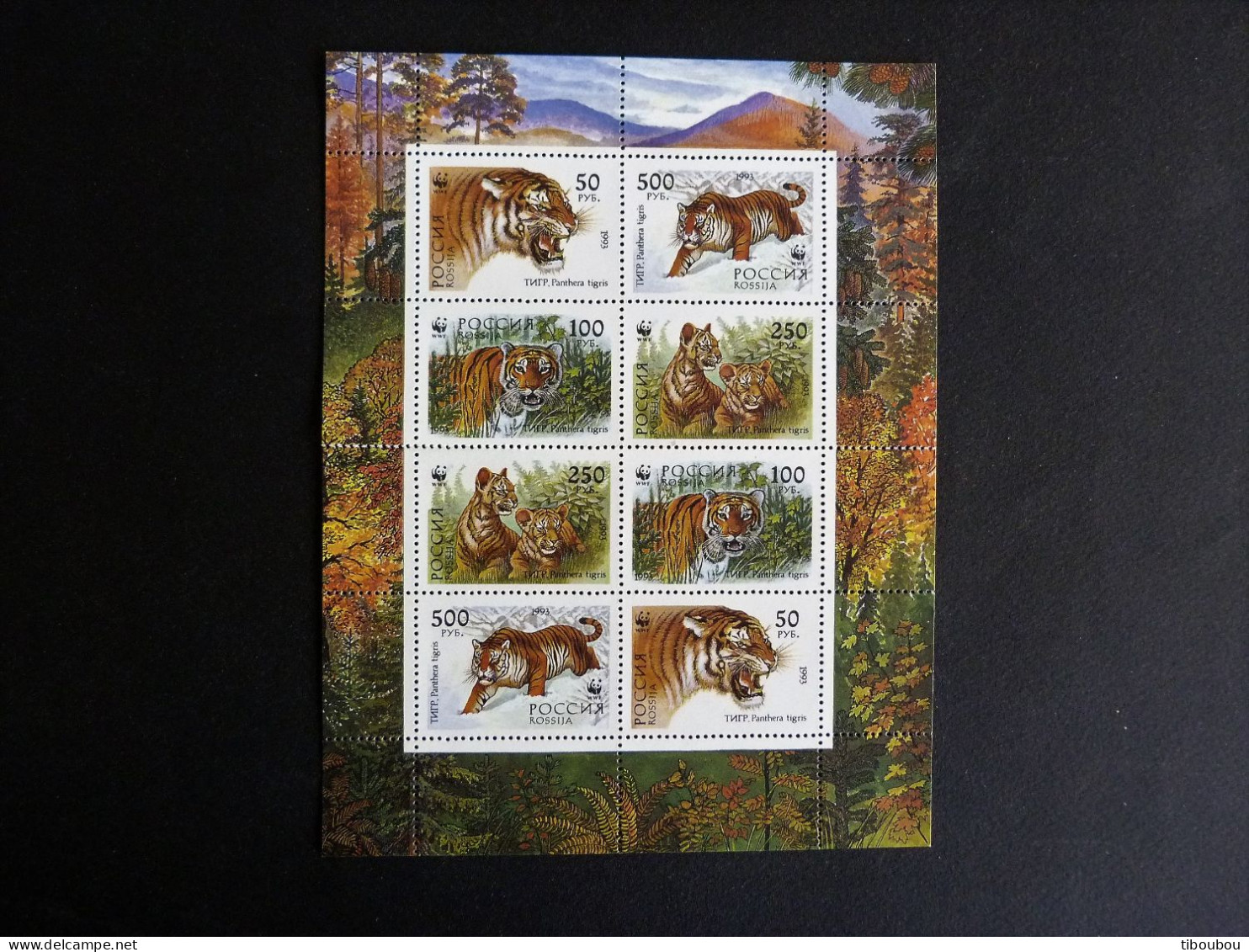 RUSSIE RUSSIA ROSSIJA URSS CCCP YT 6029 à 6032 ** MNH PETITE FEUILLE ENTIERE - TIGRE TIGER DE OUSSOURI SIBERIE AMOUR - Feuilles Complètes