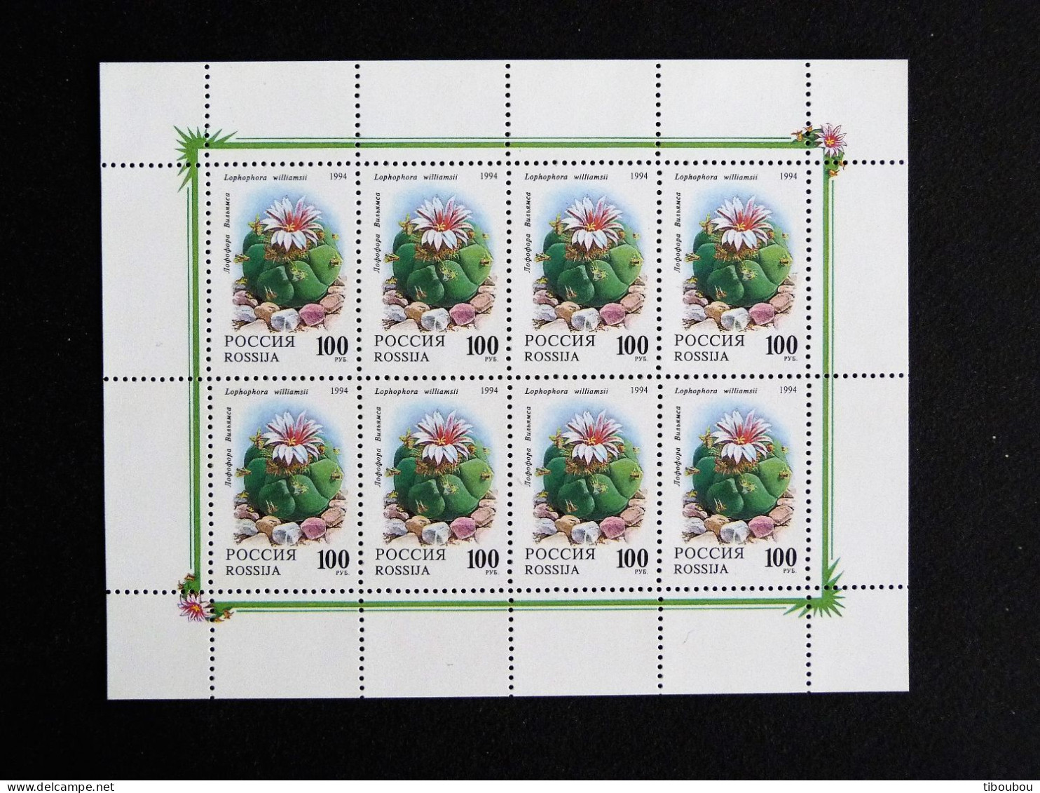 RUSSIE RUSSIA ROSSIJA URSS CCCP YT 6054 ** MNH PETITE FEUILLE ENTIERE - CACTEE CACTUS FLORE FLEUR PLANTE FLOWER BLUME - Full Sheets