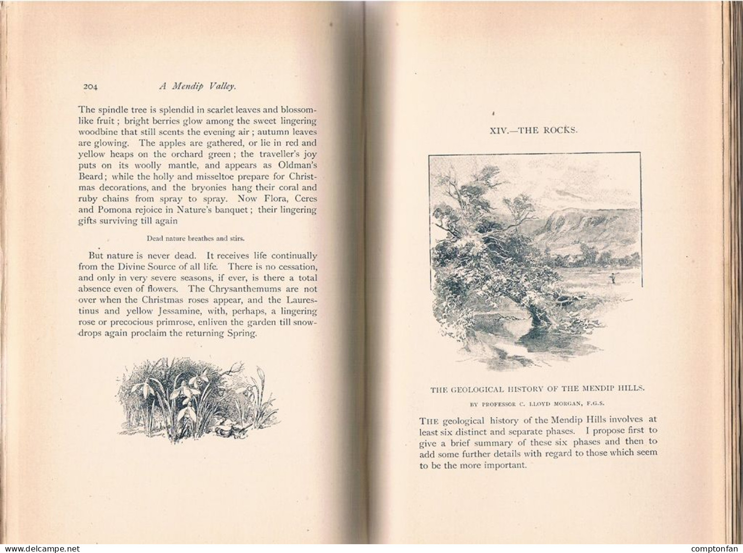 B100 864 Compton A Mendip Valley, Inhabitants And Surroundings 1892 Rarität !! - Sonstige & Ohne Zuordnung