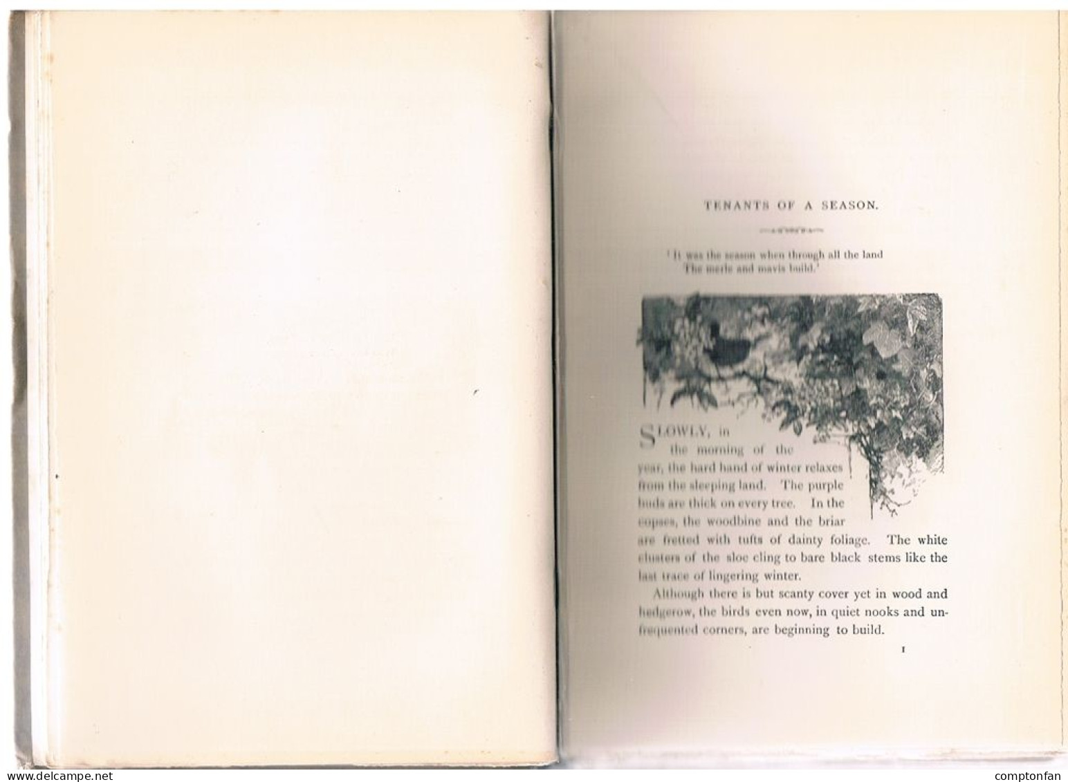 B100 866 Compton Francis A. Knight By Leafy Ways Absolute Rarität 1889 !! - Sonstige & Ohne Zuordnung