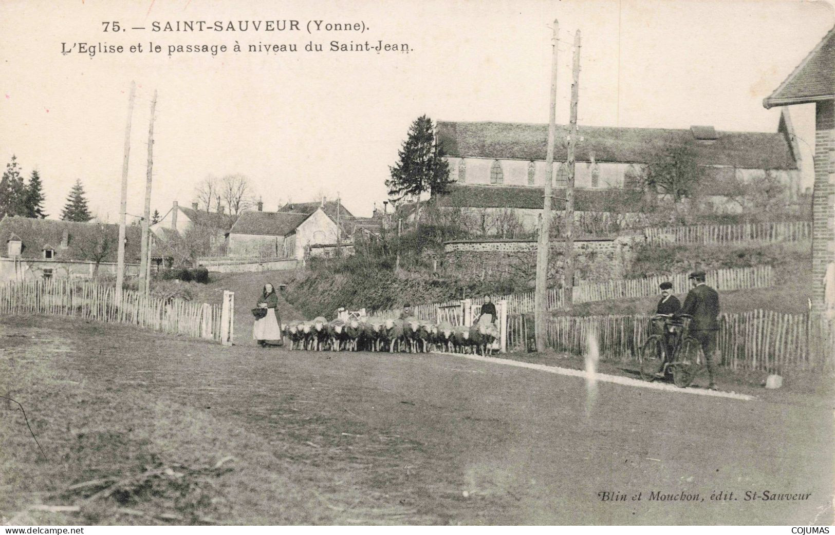 89 -  SAINT SAUVEUR - S21088 - L'Eglise Et Le Passage à Niveau Du Saint Jean - Agriculture - Saint Sauveur En Puisaye