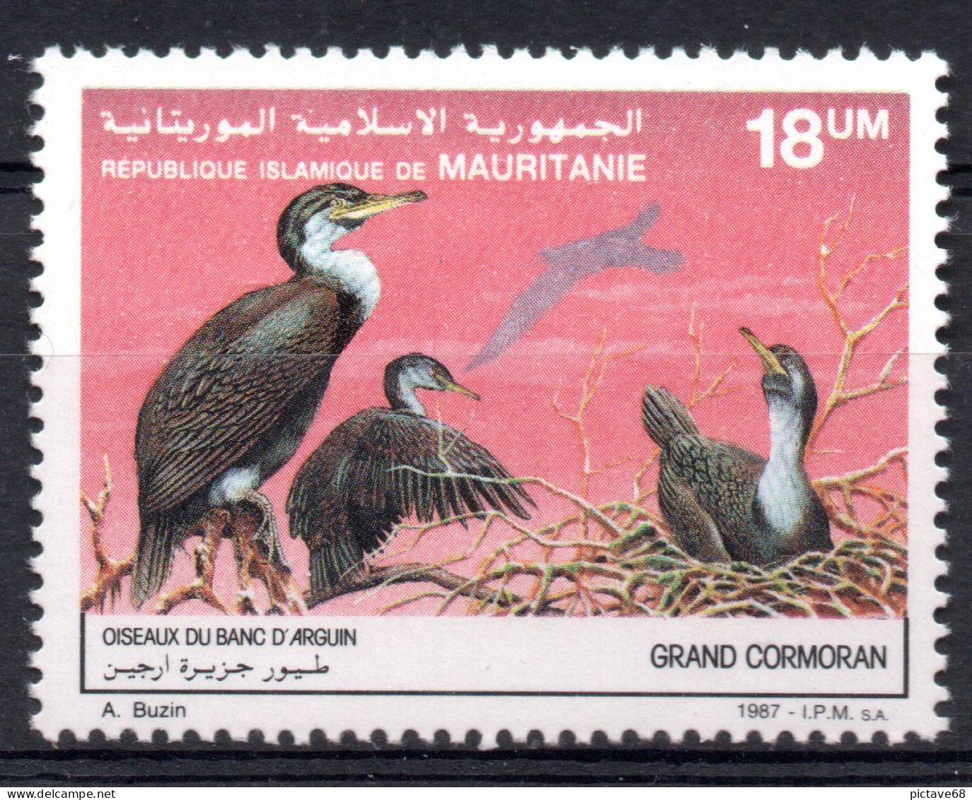 MAURITANIE / FAUNE/ OISEAUX /  N° 605 NEUF * * - Mauritanië (1960-...)