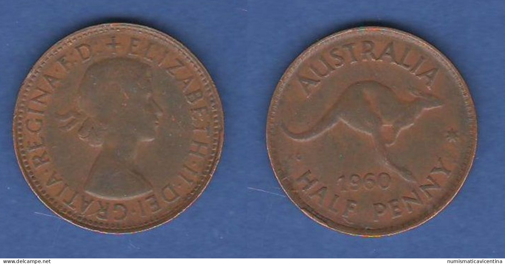 Australia 1/2 Penny 1960 Half Penny Australie - ½ Penny