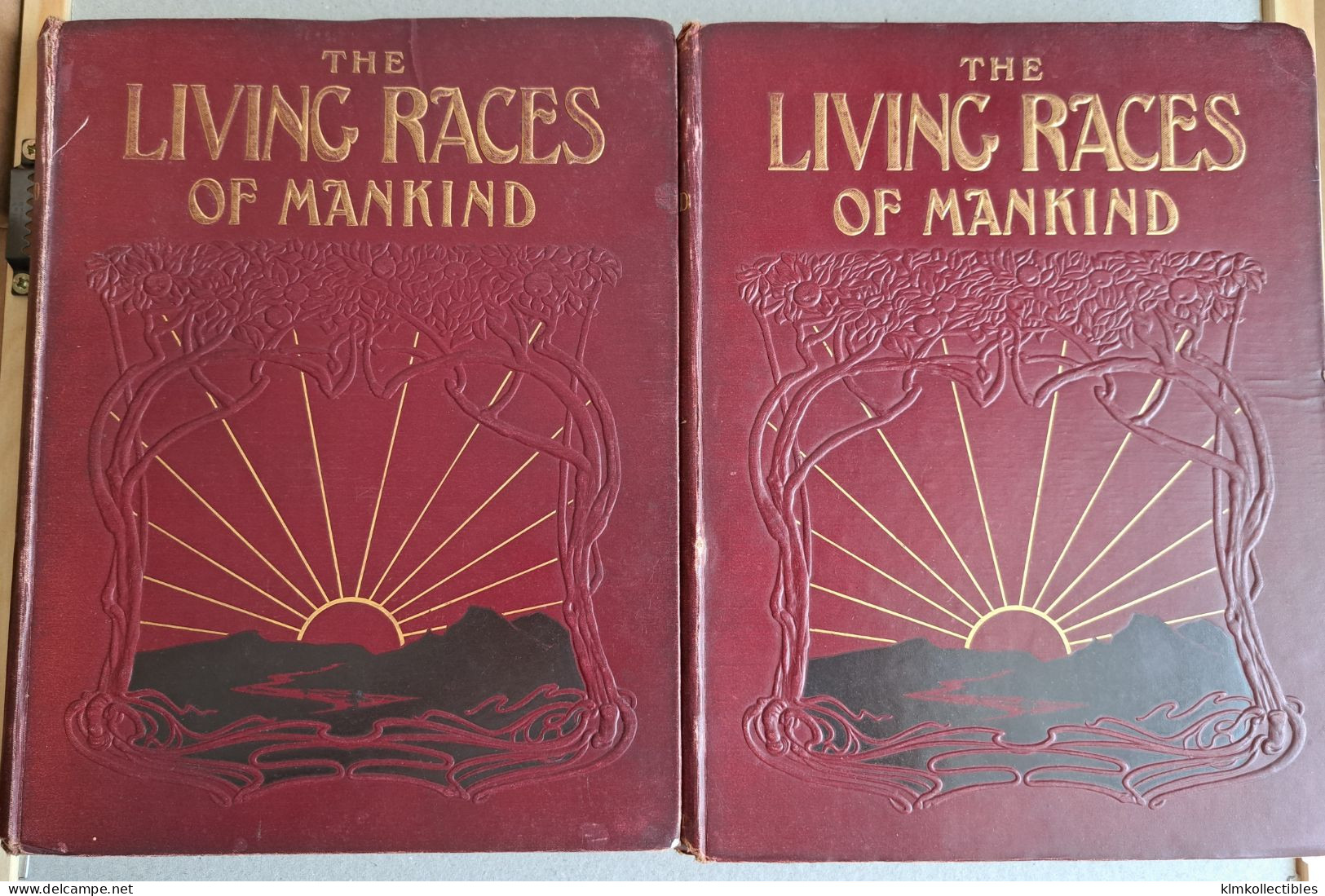 LIVING RACES OF MAN KIND - HN HUTCHINSON - TYPES ET SCENES ETHNIC ETHNIQUE  - CHINA BURMA INDIA AFRICA - Sonstige & Ohne Zuordnung
