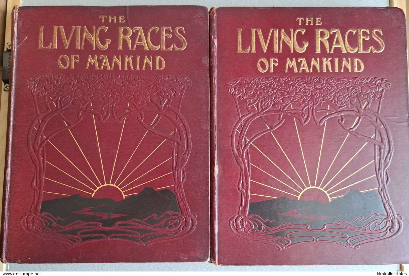 LIVING RACES OF MAN KIND - HN HUTCHINSON - TYPES ET SCENES ETHNIC ETHNIQUE  - CHINA BURMA INDIA AFRICA - Autres & Non Classés