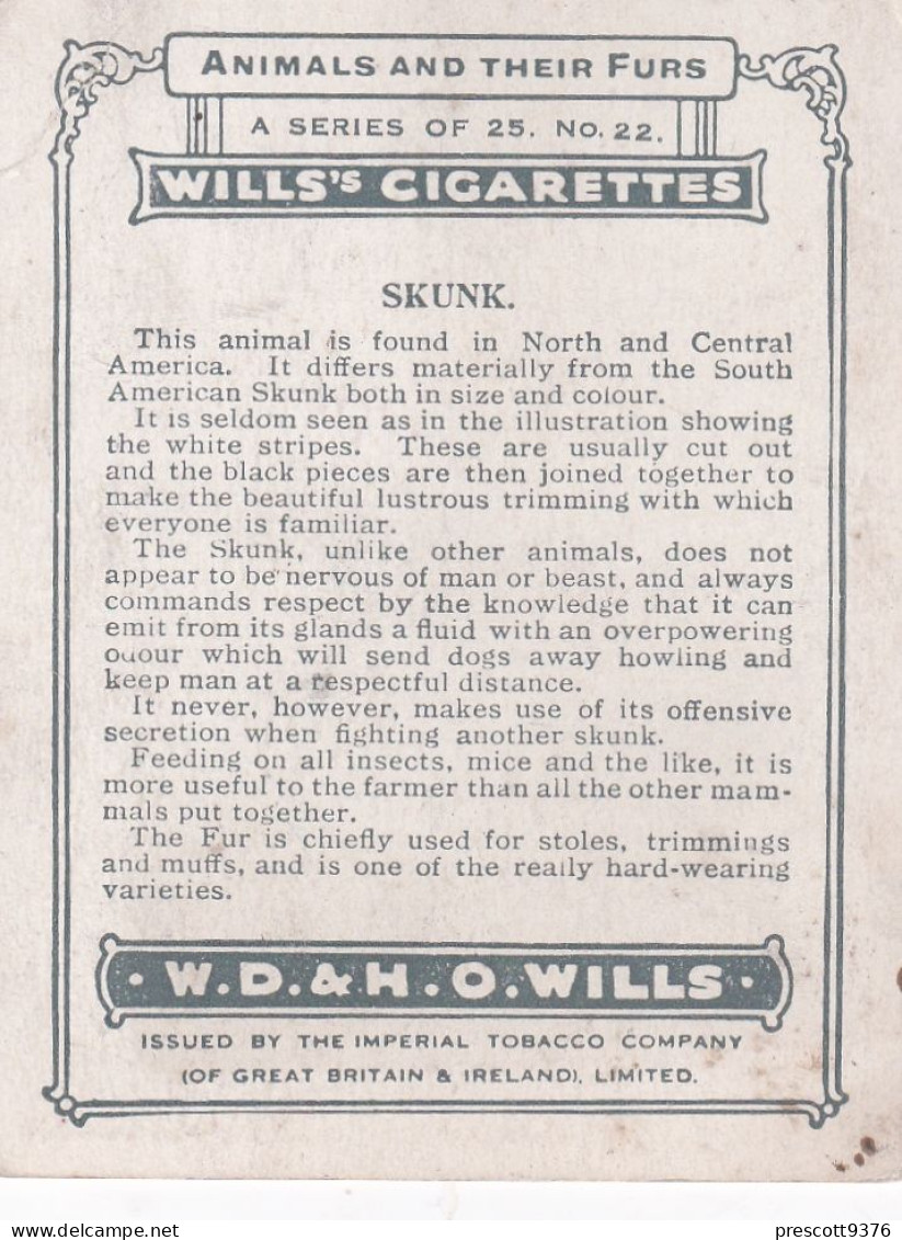 Animals & Their Furs 1929 - No22 Skunk  - Wills Cigarette Card - Original Card - Large Size - Wills