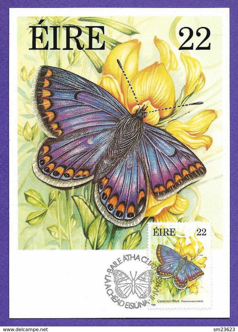 Irland / Eire 1985  Mi.Nr. 559 , Common Blue - Fauna And Flora Series - Maximum Card - First Day II.IV.1985 - Tarjetas – Máxima