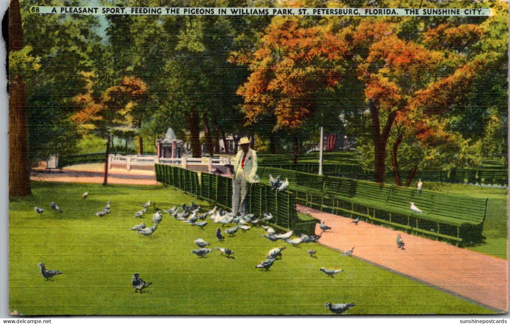 Florida St Petersburg Feeding The Pigeons In Willimas Park 1942 - St Petersburg