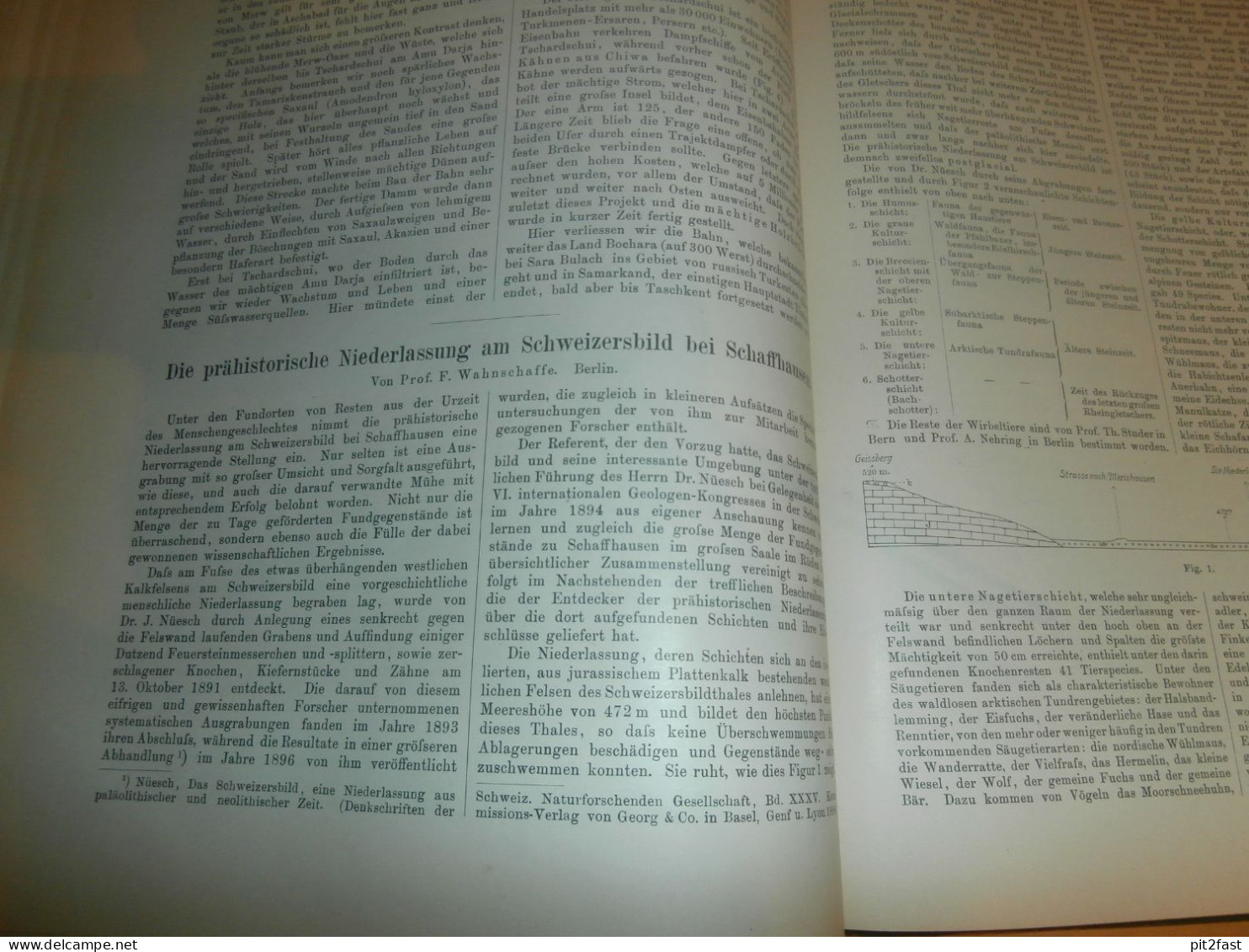 Völkerkunde Januar bis Juni 1898, gebundene GLOBUS Zeitschriften , Expedition , Kolonie , Reise , Berichte , Etnologie !