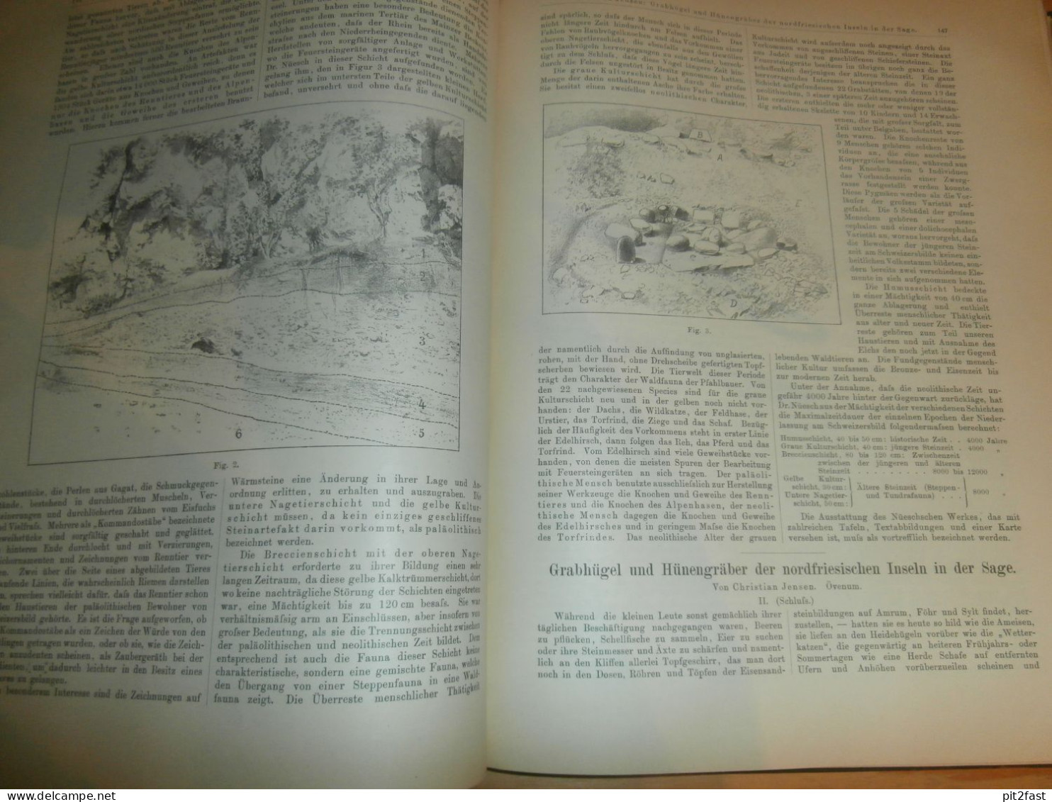 Völkerkunde Januar bis Juni 1898, gebundene GLOBUS Zeitschriften , Expedition , Kolonie , Reise , Berichte , Etnologie !