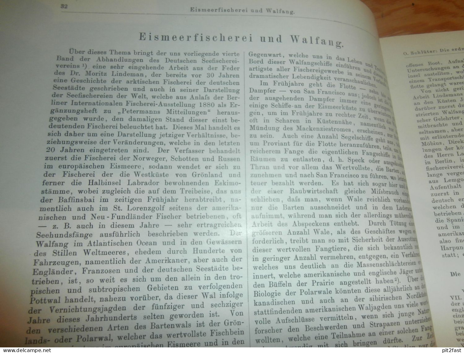 Völkerkunde Januar bis Juni 1900 gebundene GLOBUS Zeitschriften , Expedition , Kolonie , Reise , Berichte , Etnologie !