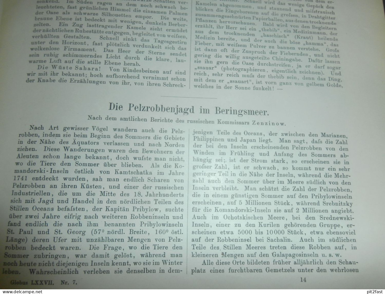 Völkerkunde Januar bis Juni 1900 gebundene GLOBUS Zeitschriften , Expedition , Kolonie , Reise , Berichte , Etnologie !