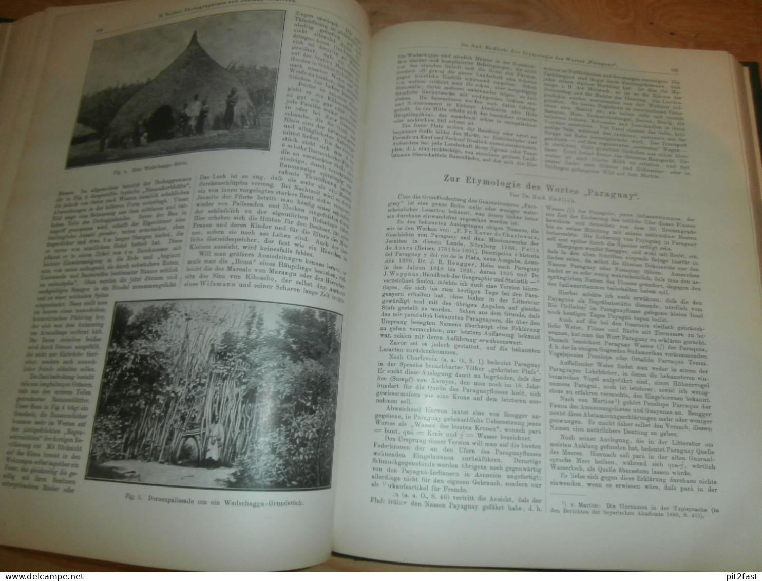 Völkerkunde Januar bis Juni 1900 gebundene GLOBUS Zeitschriften , Expedition , Kolonie , Reise , Berichte , Etnologie !