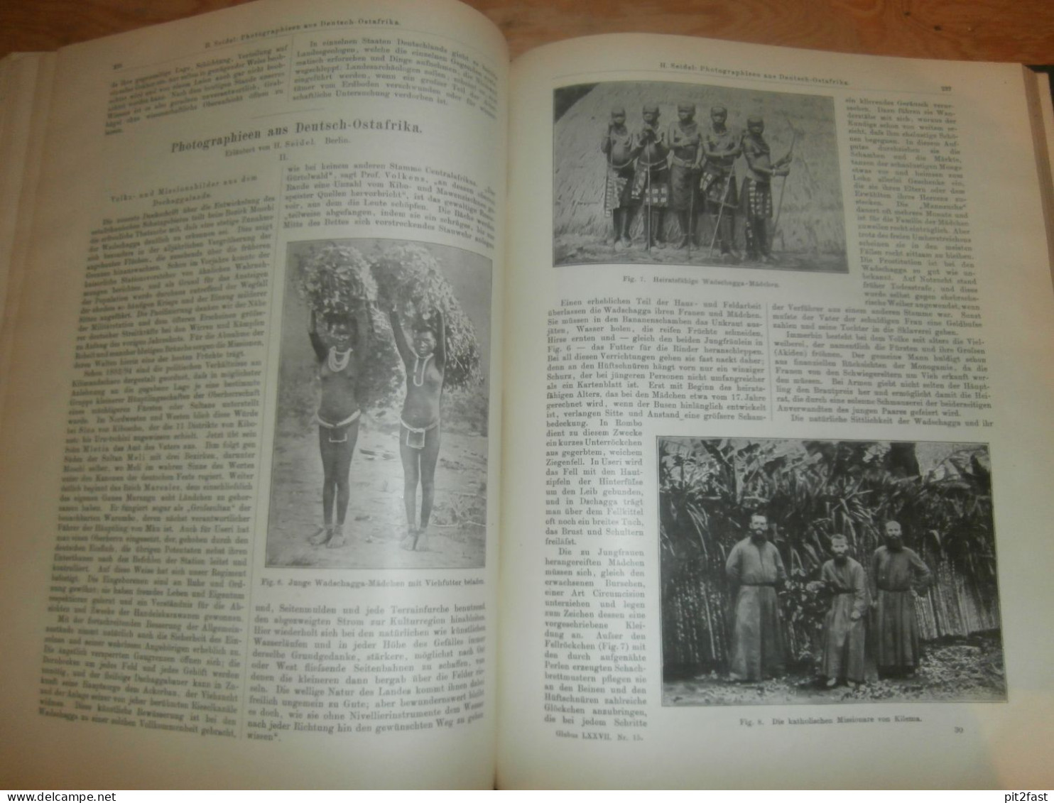 Völkerkunde Januar bis Juni 1900 gebundene GLOBUS Zeitschriften , Expedition , Kolonie , Reise , Berichte , Etnologie !