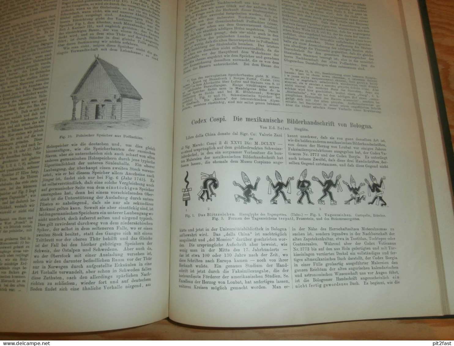 Völkerkunde Januar bis Juni 1900 gebundene GLOBUS Zeitschriften , Expedition , Kolonie , Reise , Berichte , Etnologie !