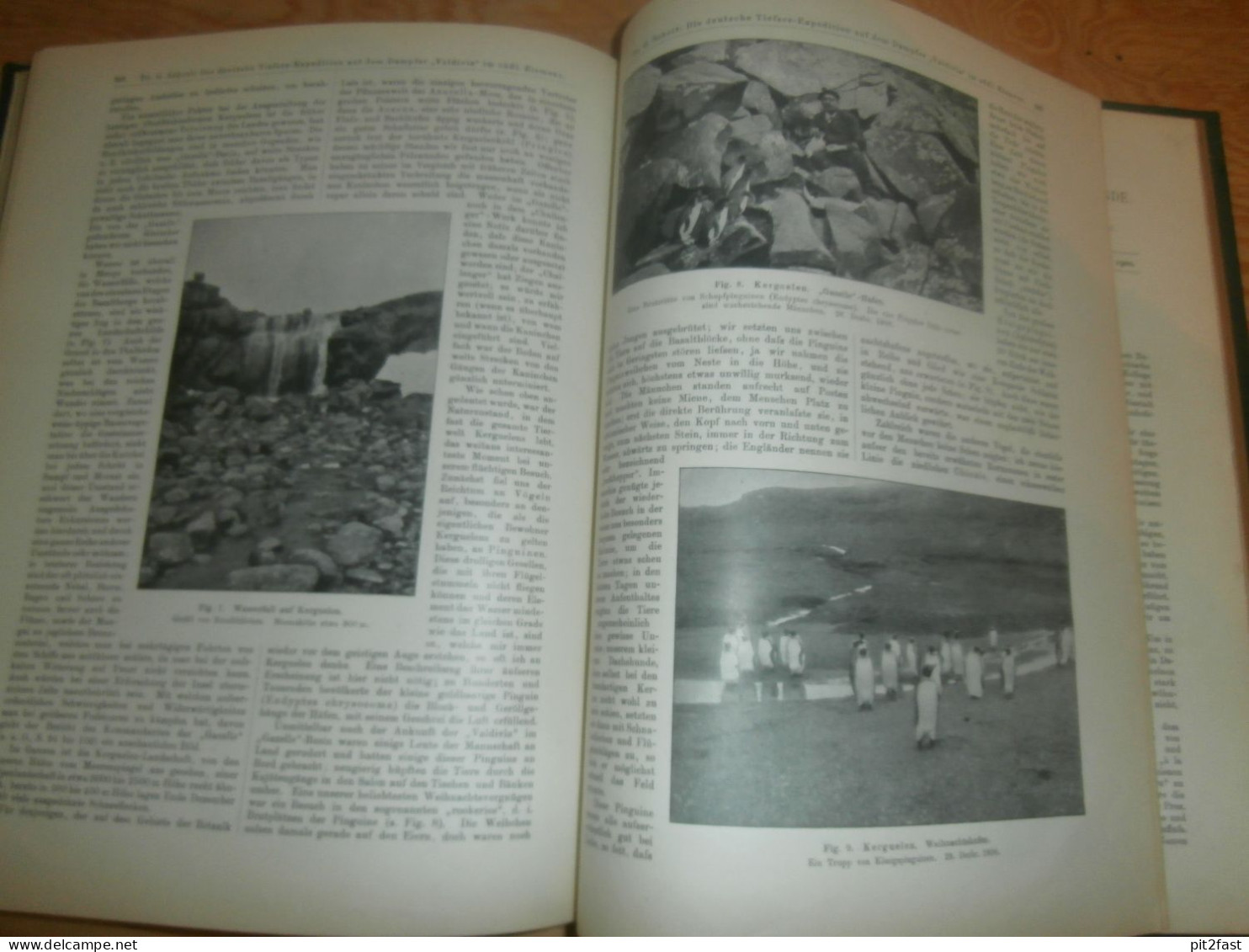 Völkerkunde Januar bis Juni 1900 gebundene GLOBUS Zeitschriften , Expedition , Kolonie , Reise , Berichte , Etnologie !