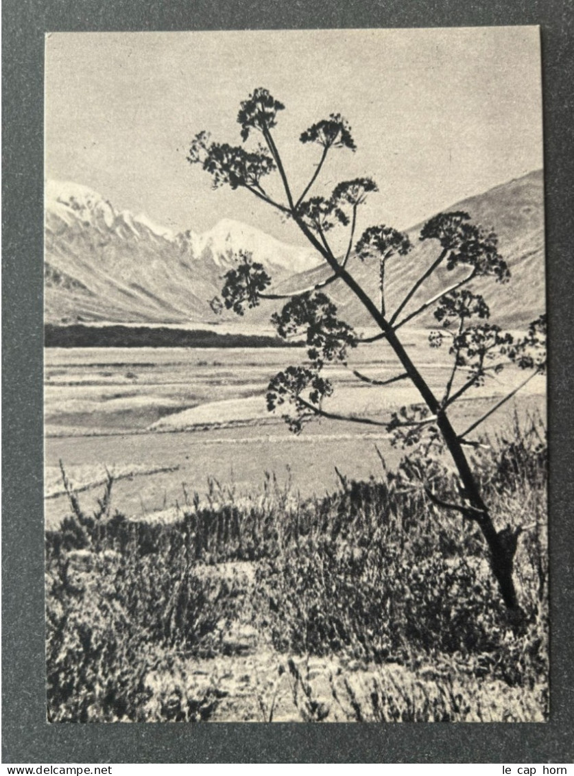 Tanymas River 	1956 Izogiz - Tajikistan