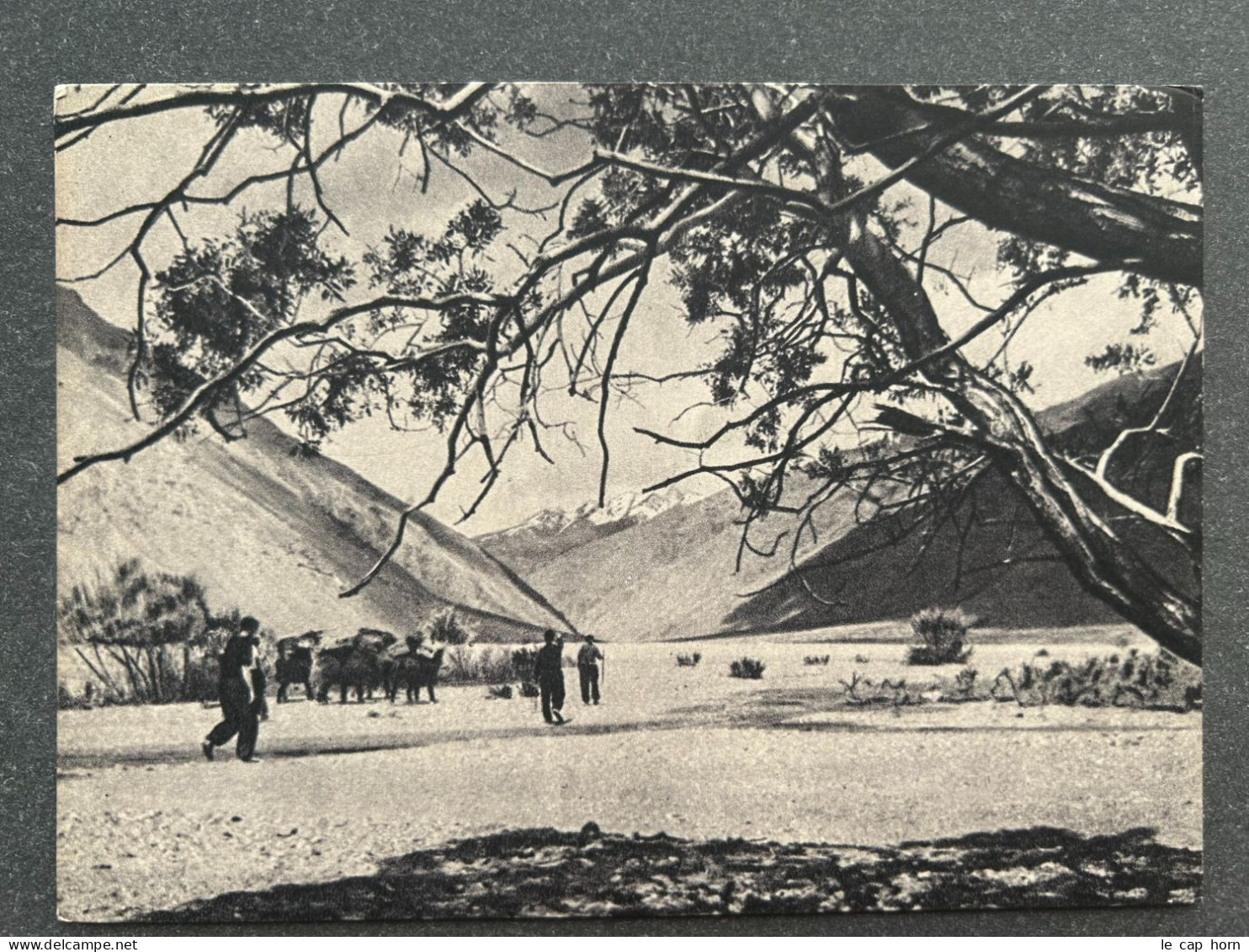 Tanymas River 	1956 Izogiz - Tadschikistan