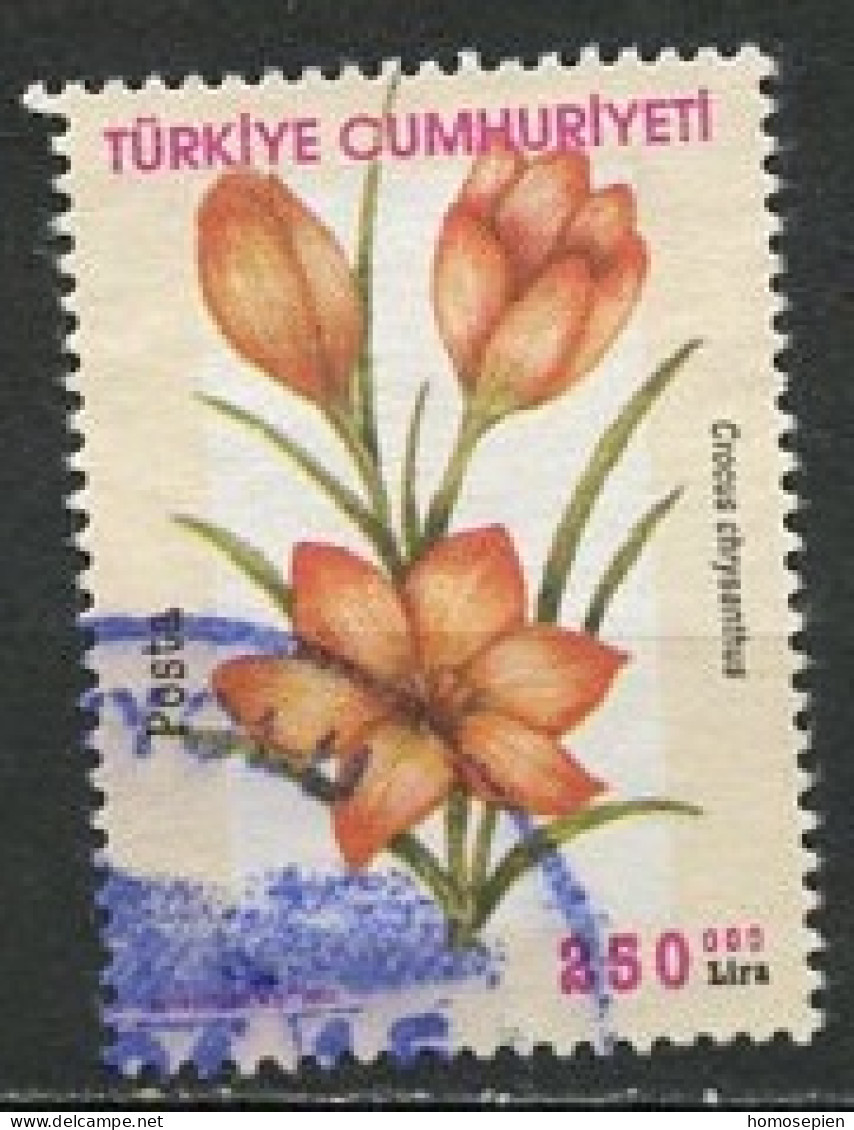 Turquie - Türkei - Turkey 2001 Y&T N°2997 - Michel N°3244 (o) - 450000l Hypericum Perforatum - Usati