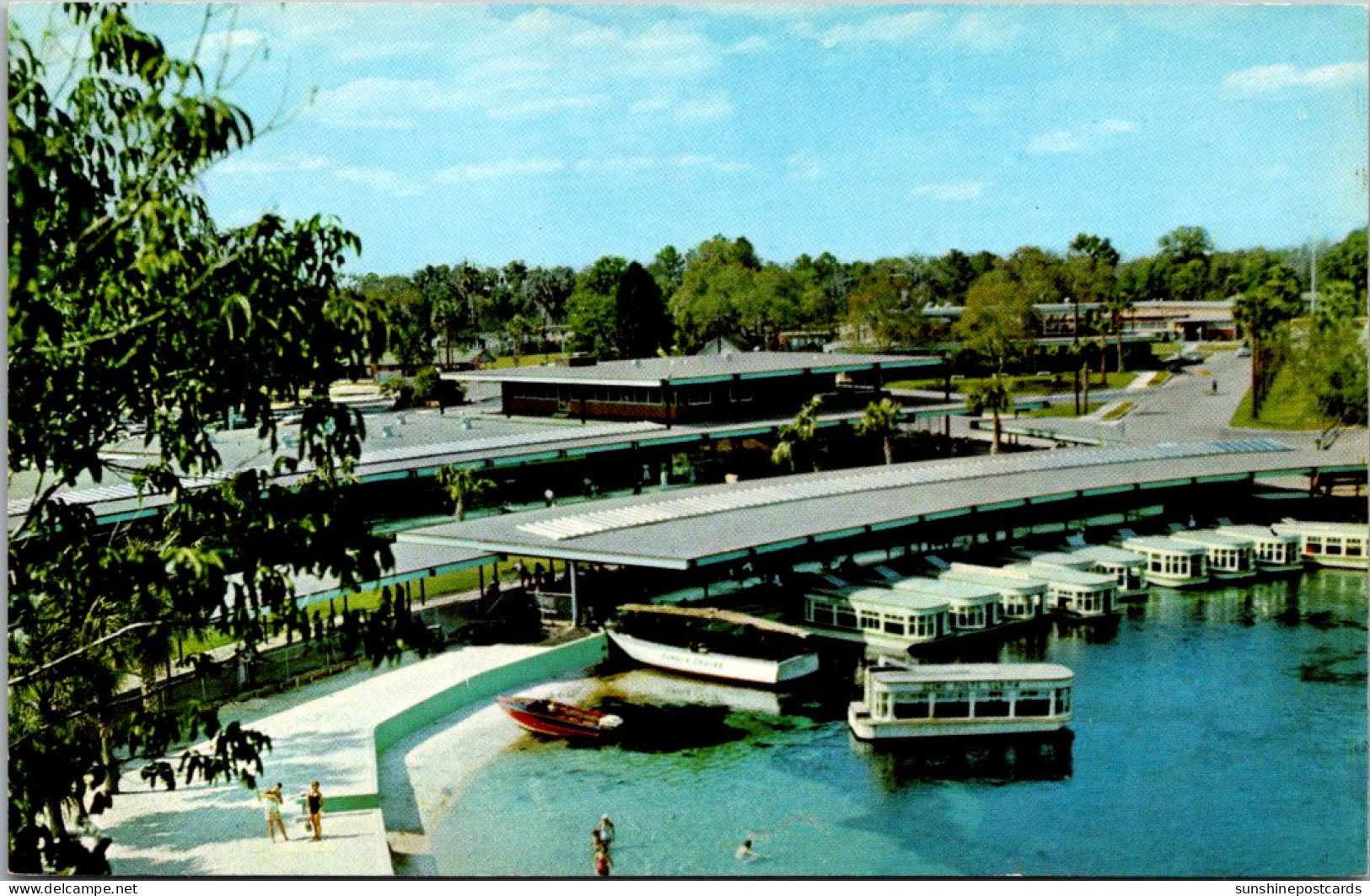 Florida Silver Springs Glass Bottom Boats - Silver Springs