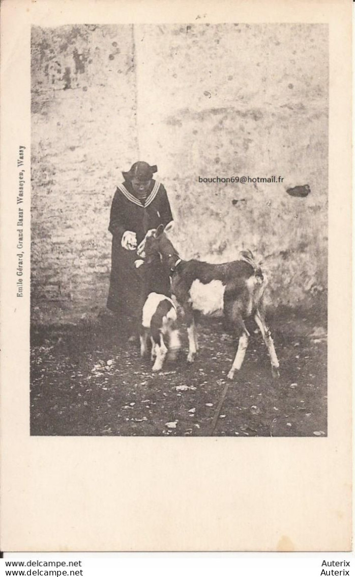 52 Wassy Emile Gerard Grand Bazar Wasseyes Chevres Goat - Wassy