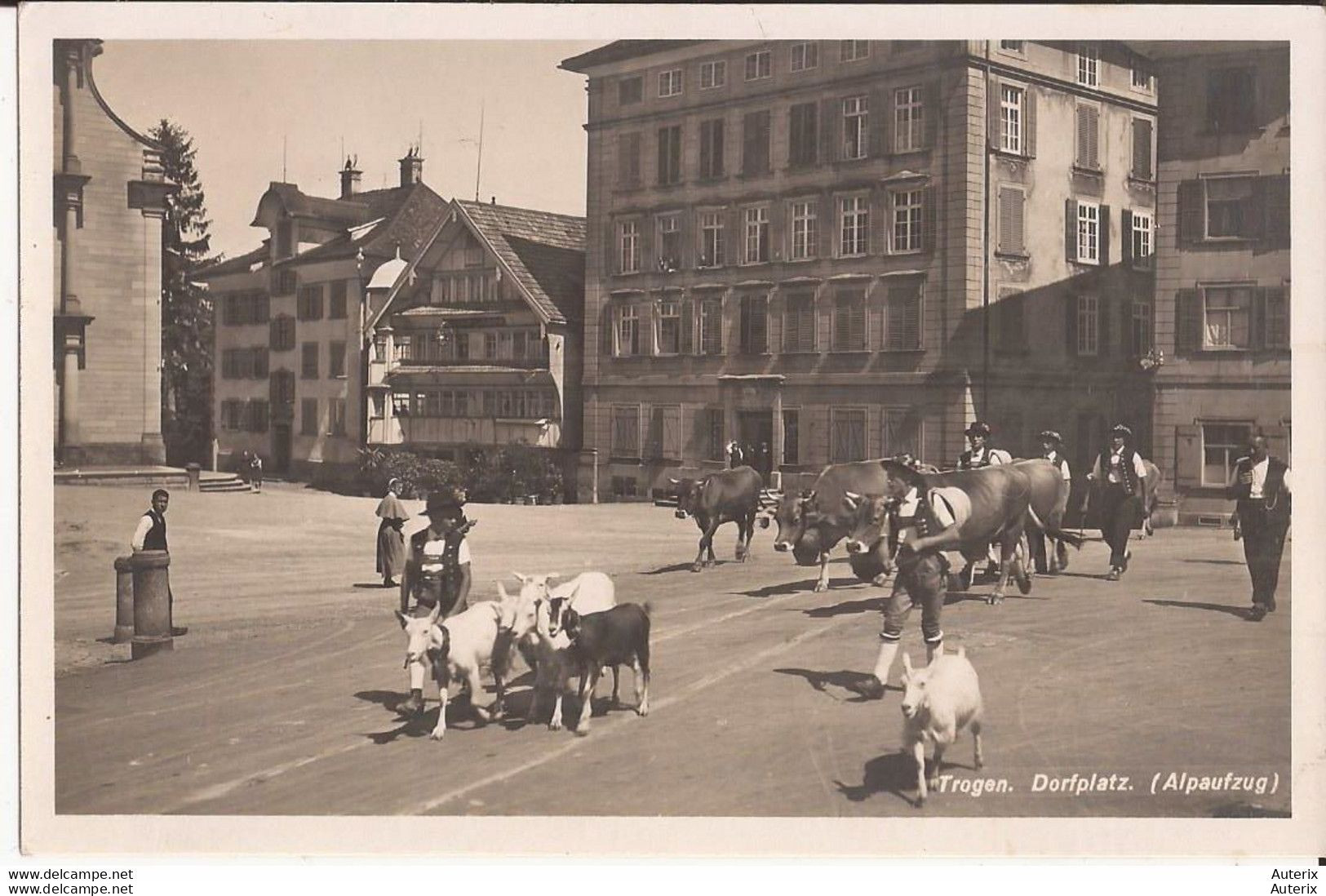 Suisse - C -  Appenzell - Trogen - Dorfplatz (Alpaufzug) Vaches Chèvres Ziegen Goat - Appenzell