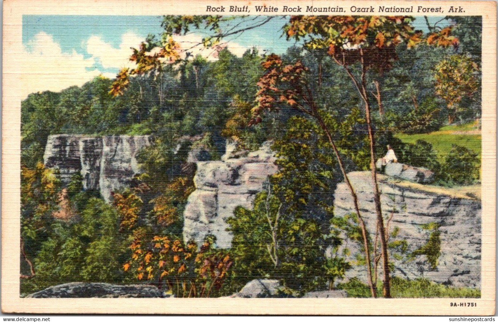 Arkansas Ozark National Forest White Rock Mountain Rock Bluff 1941 Curteich - Other & Unclassified