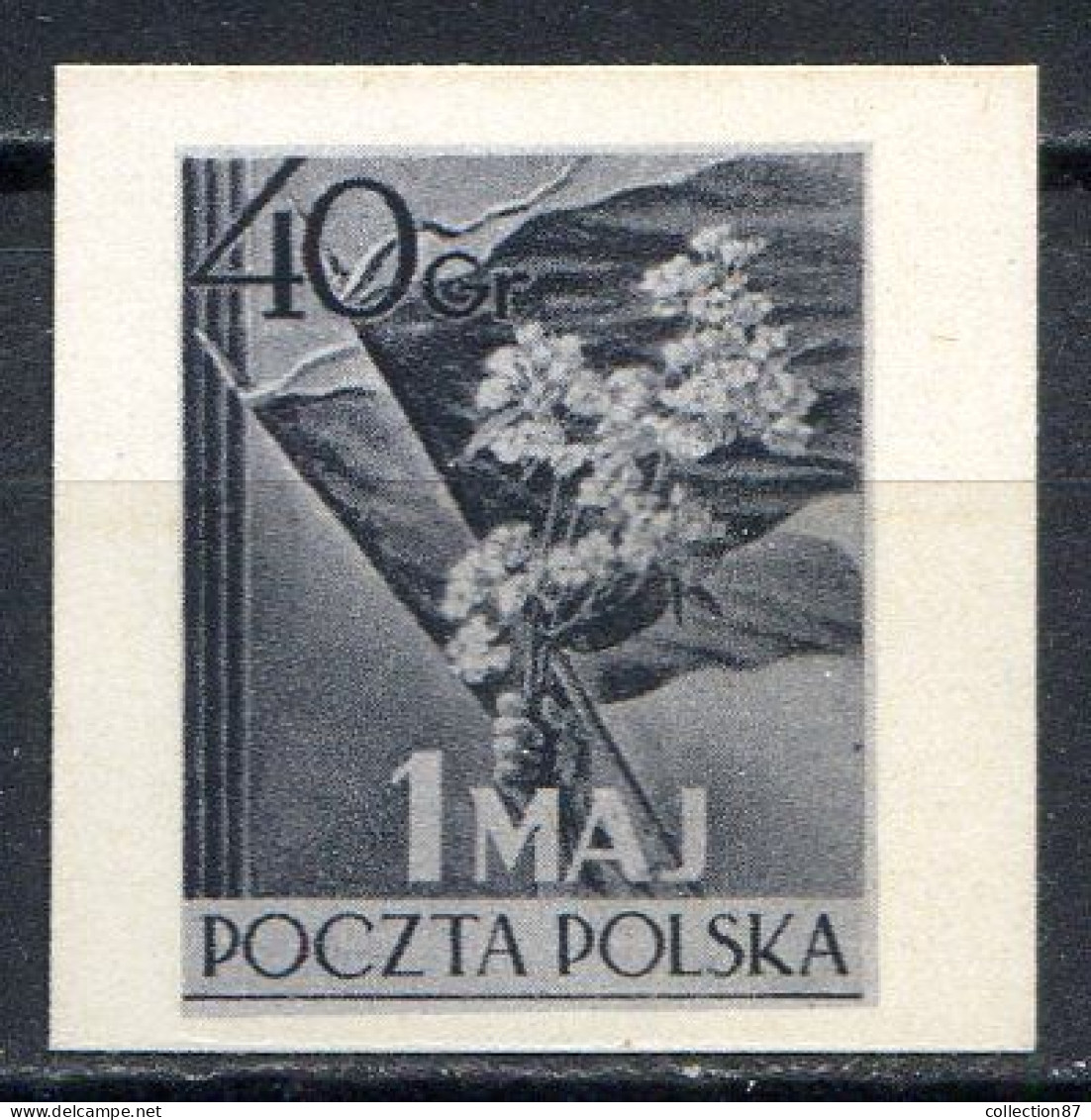 POLOGNE < ESSAI Yvert N° 744 < 1er MAI 1954 - Prototype De Gravure - Plaatfouten & Curiosa