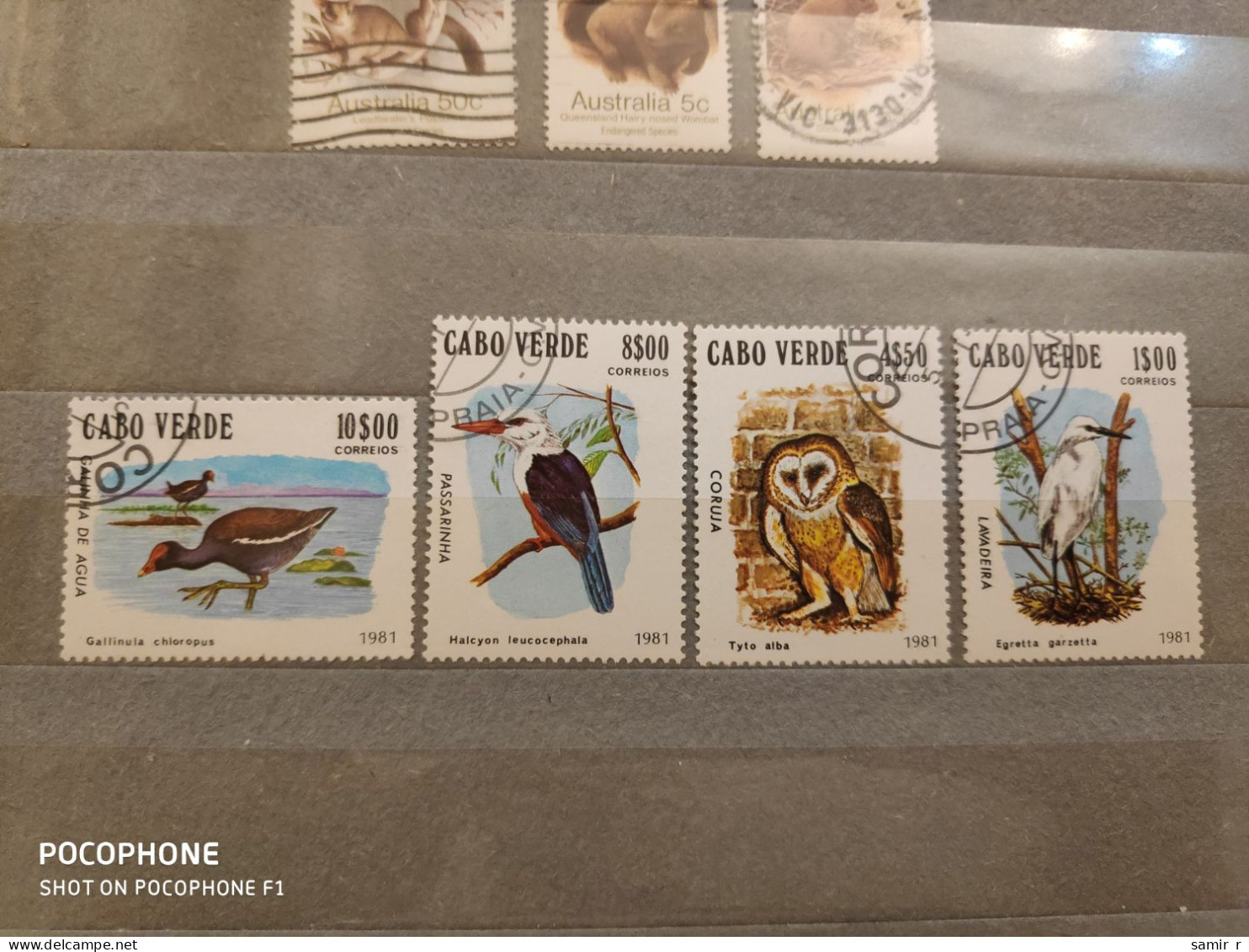 1981 Cabo Verde	Birds (F25) - Cap Vert