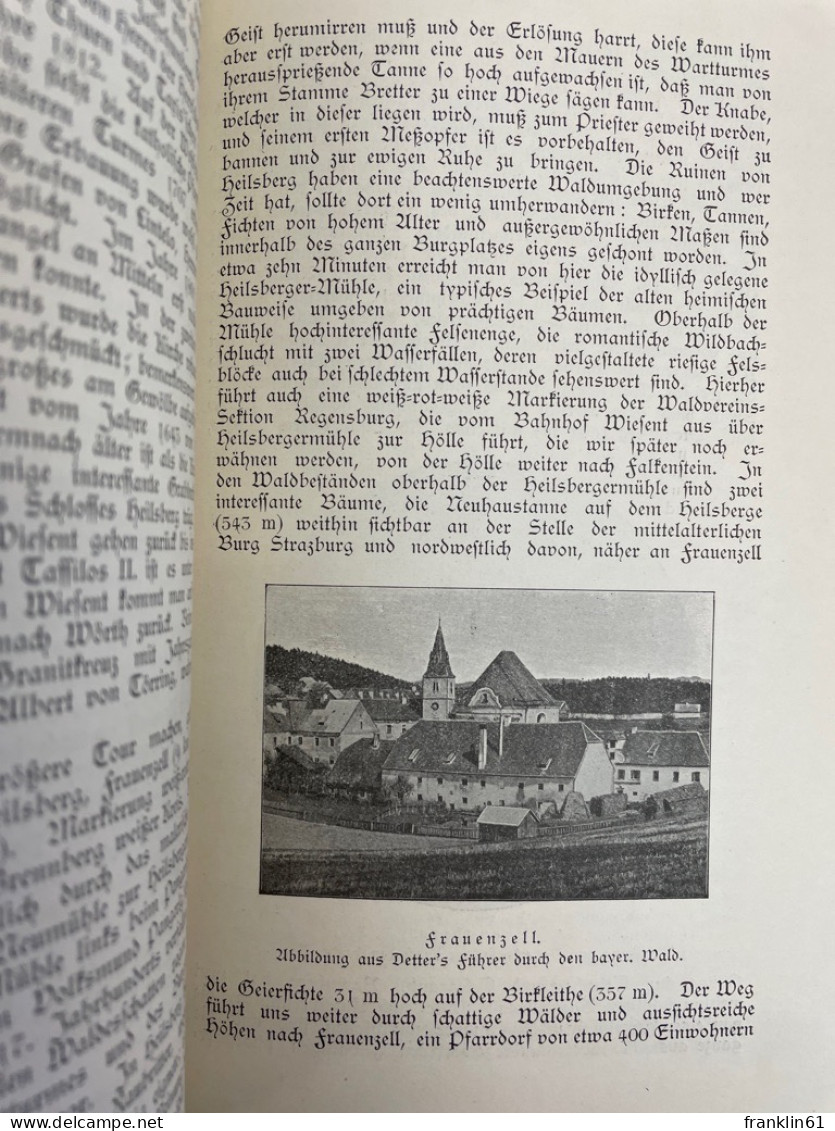 Wörth An Der Donau. Beschreibung Und Geschichte Des Marktes Nebst Seiner Umgebung. - 4. Neuzeit (1789-1914)