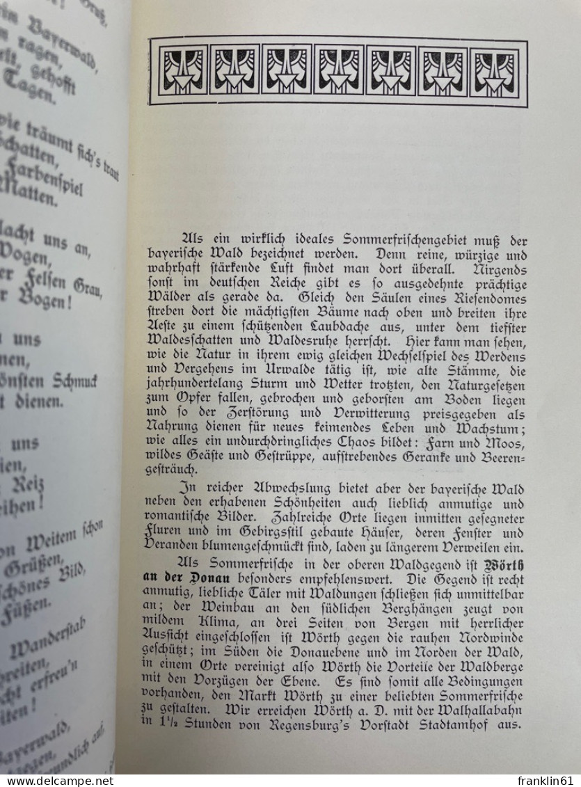 Wörth an der Donau. Beschreibung und Geschichte des Marktes nebst seiner Umgebung.