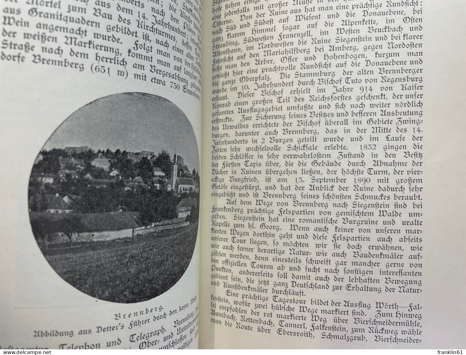 Wörth an der Donau. Beschreibung und Geschichte des Marktes nebst seiner Umgebung.