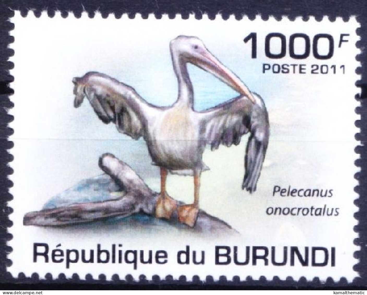 Burundi 2011 MNH, Great White Pelican, Water Birds - Pelikanen