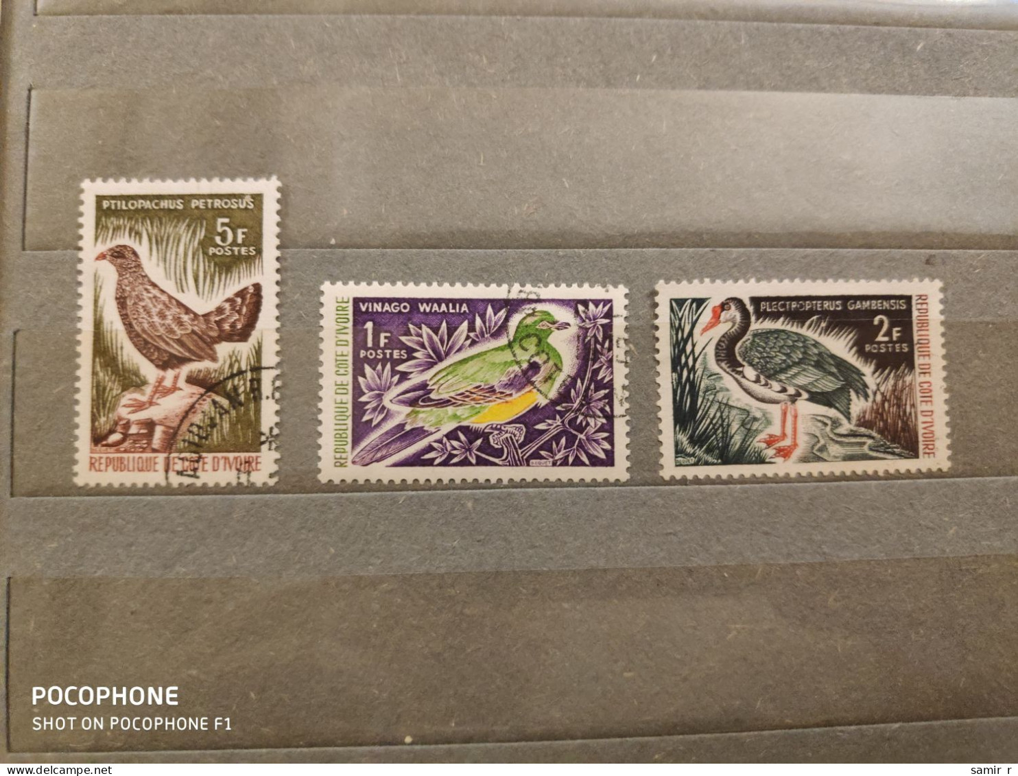 Ivory Cost	Birds (F25) - Côte D'Ivoire (1960-...)
