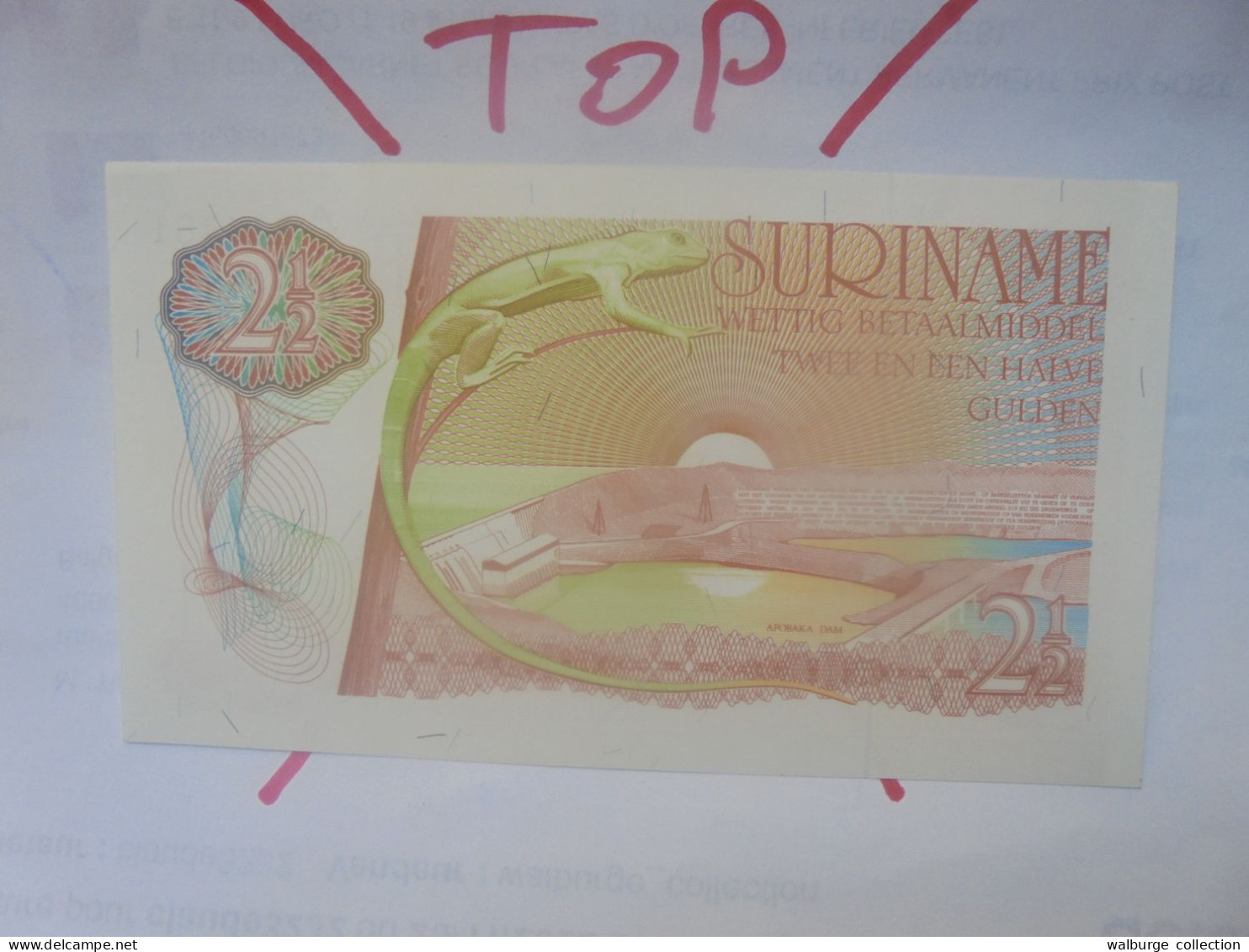 SURINAM 2 1/2 GULDEN 1973 Neuf (B.30) - Suriname